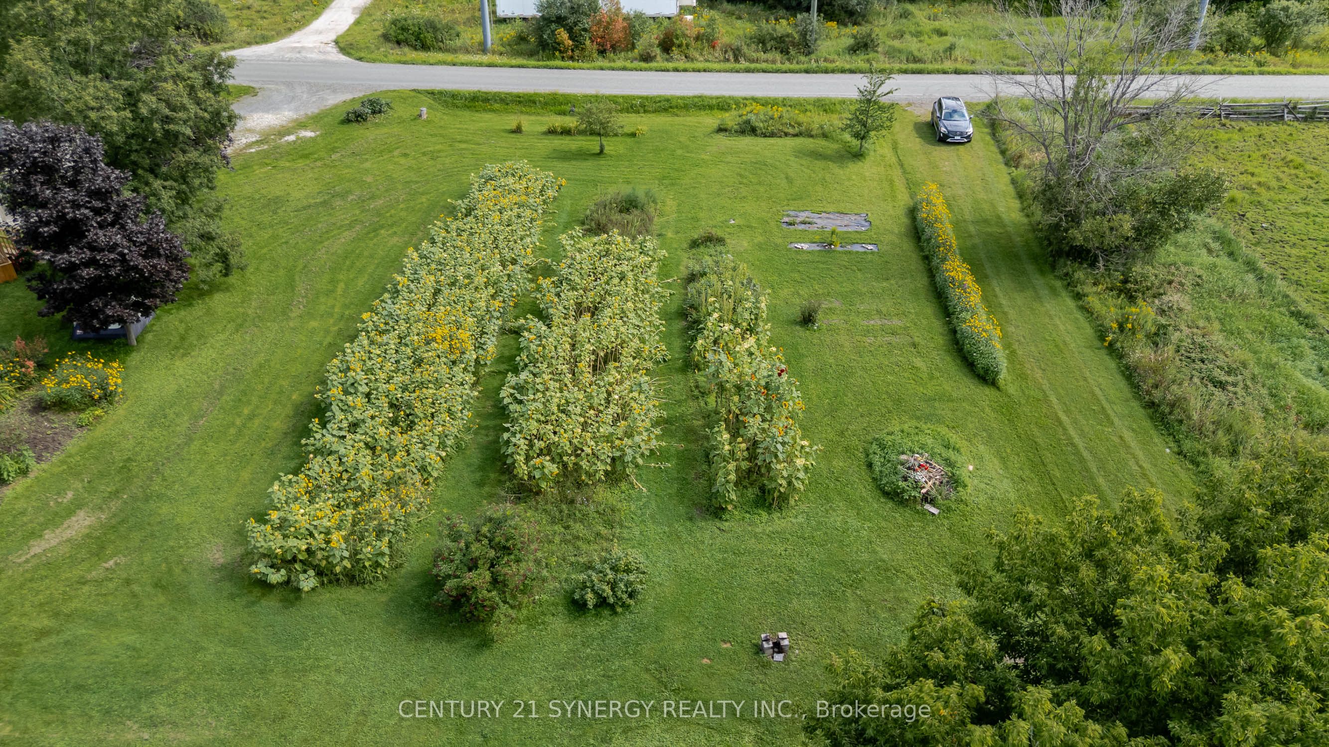 677 Bowes Side Road Property Photo 5