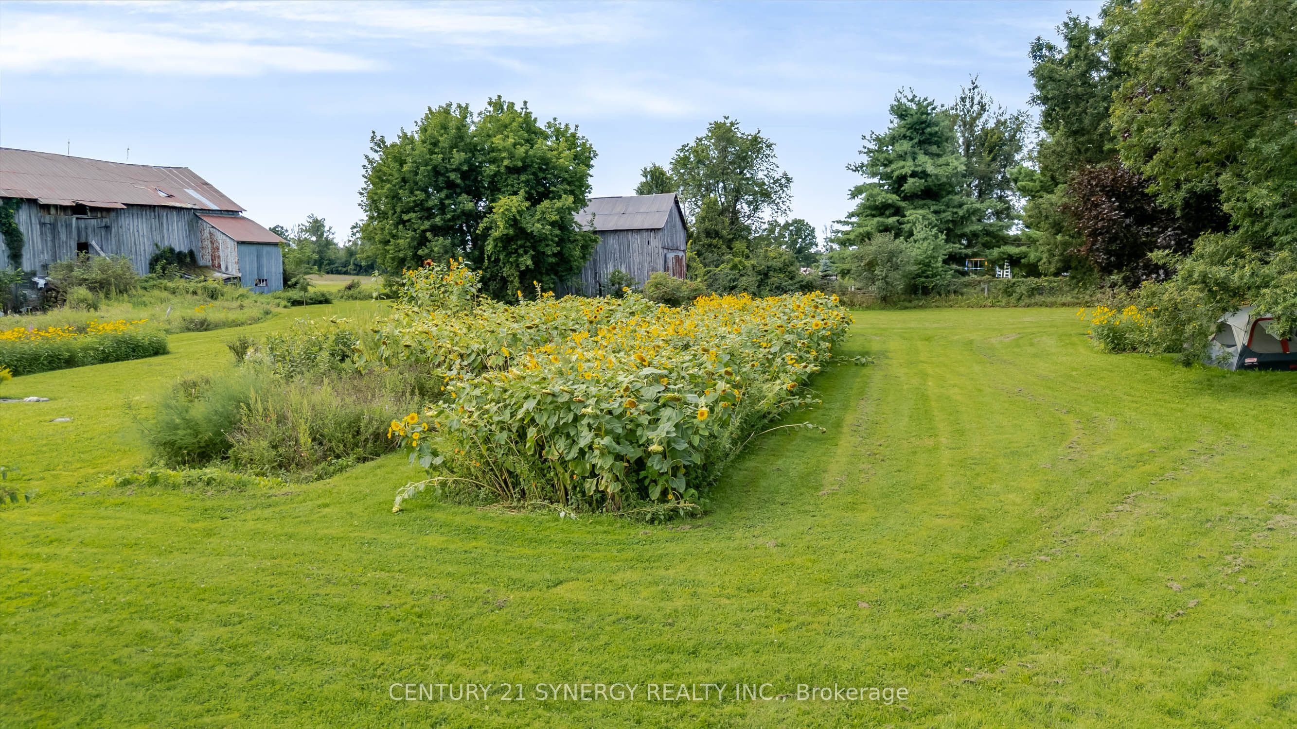 677 Bowes Side Road Property Photo 47