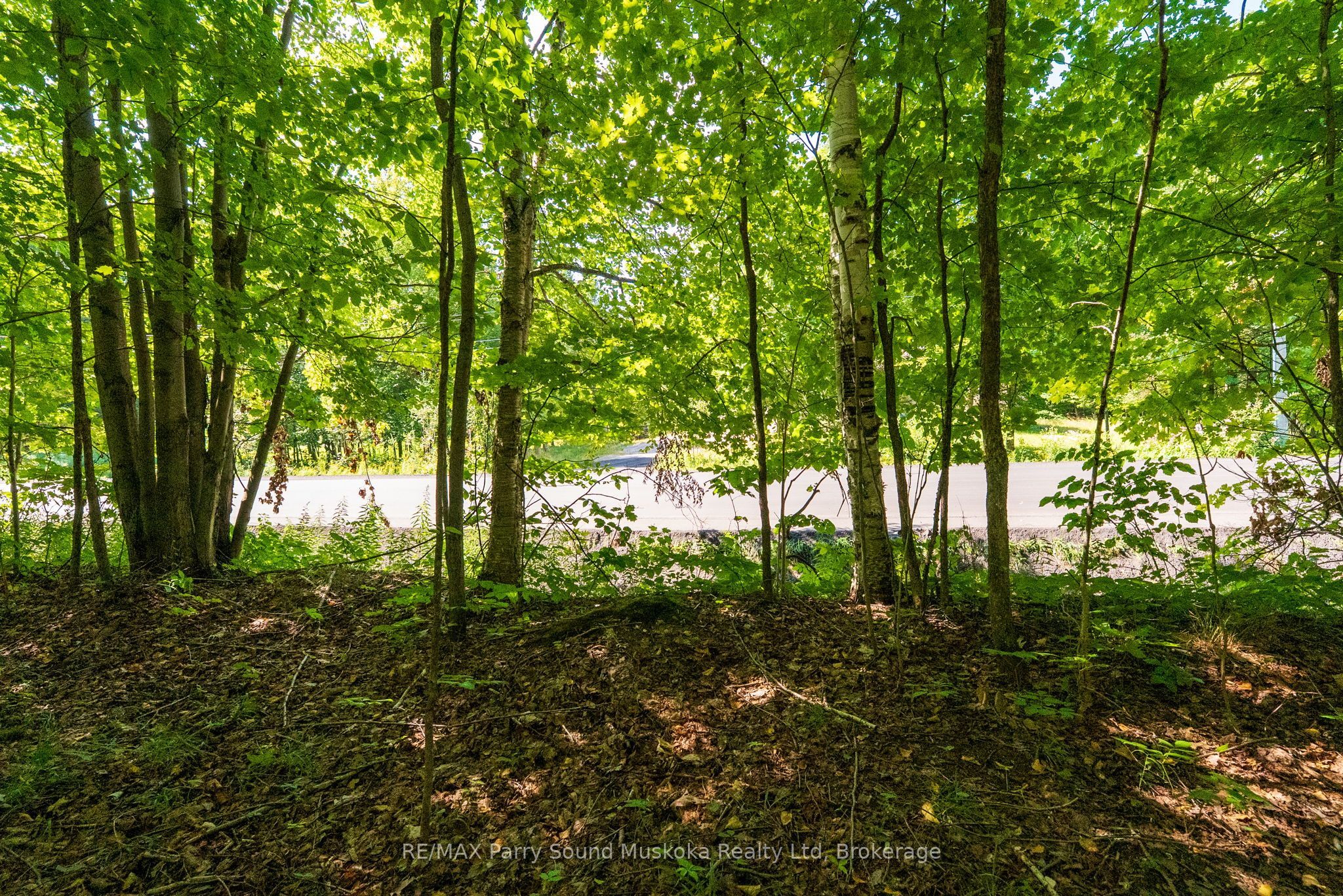 4 Mountain Basin Drive Property Photo 11