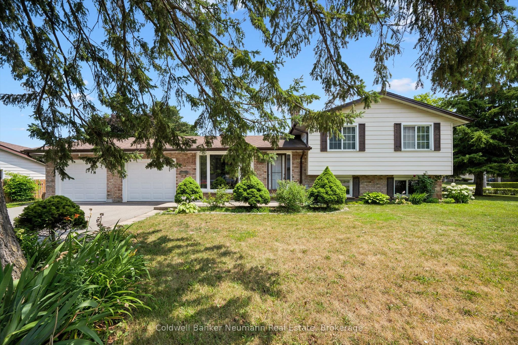 3 Meadow Crescent Property Photo 1