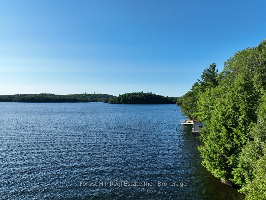 10689 Kawagama Lake Wao Property Photo 6