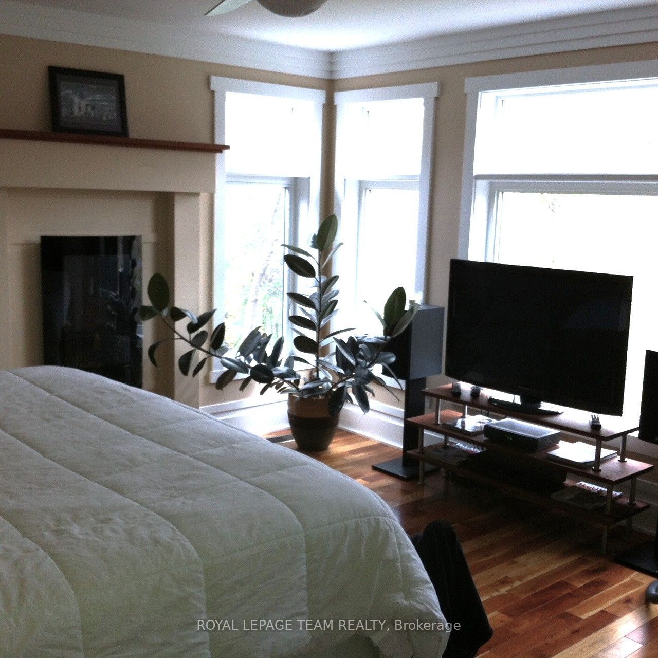 291 Ferndale Avenue Property Photo 8