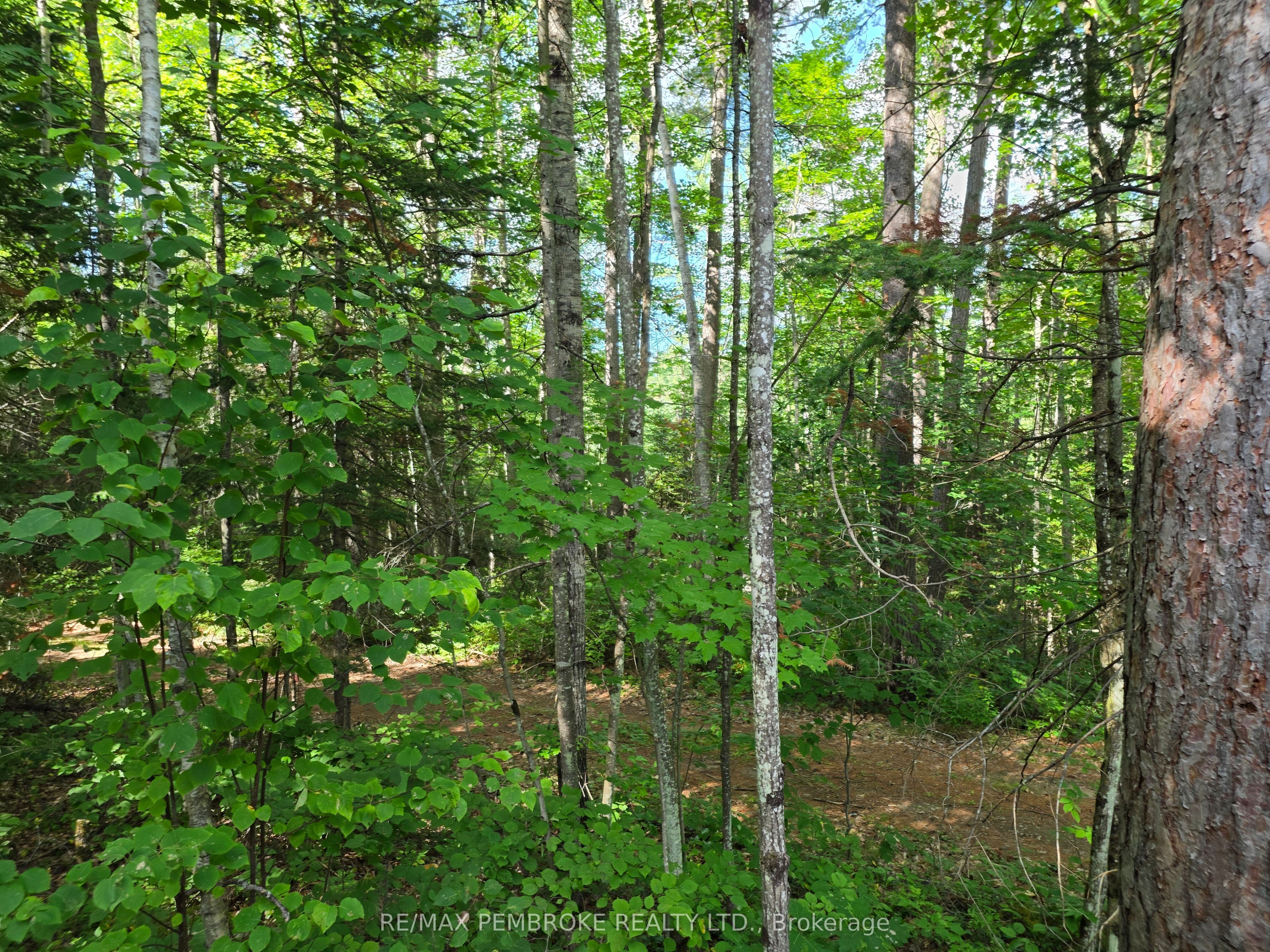 5032 Round Lake Road Property Photo 33