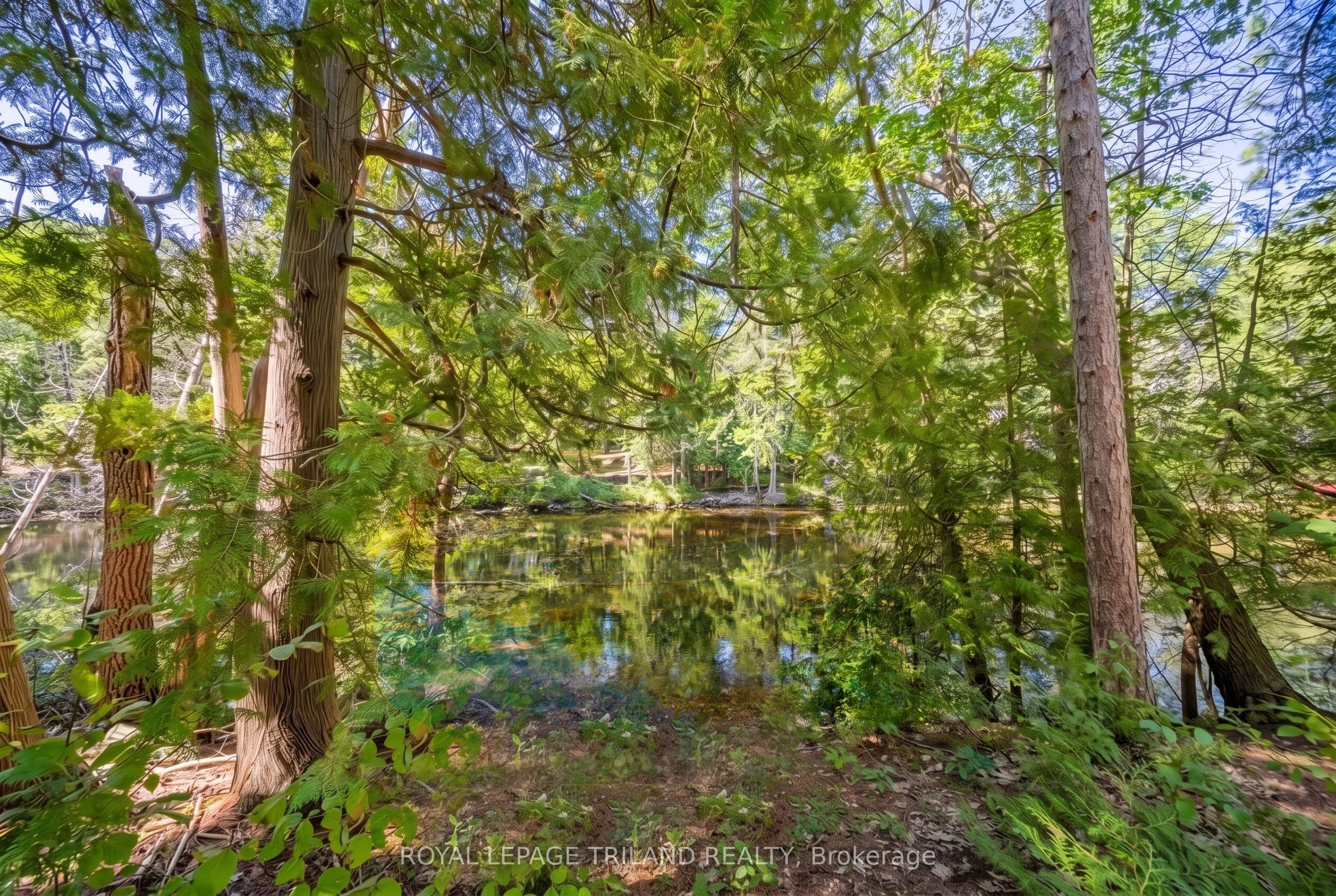 9958 Riverview Road Property Photo 6