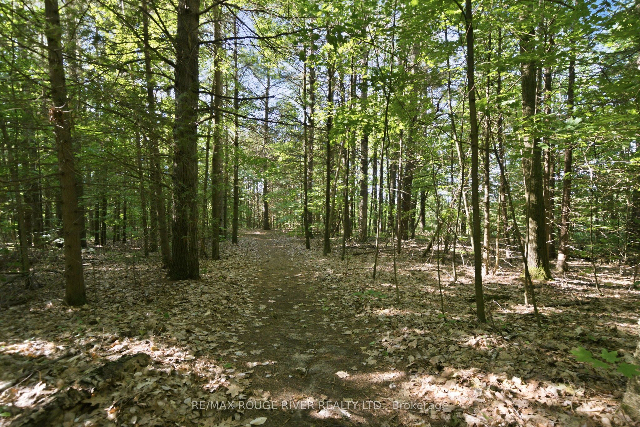 9866 Ellis Road Property Photo 42
