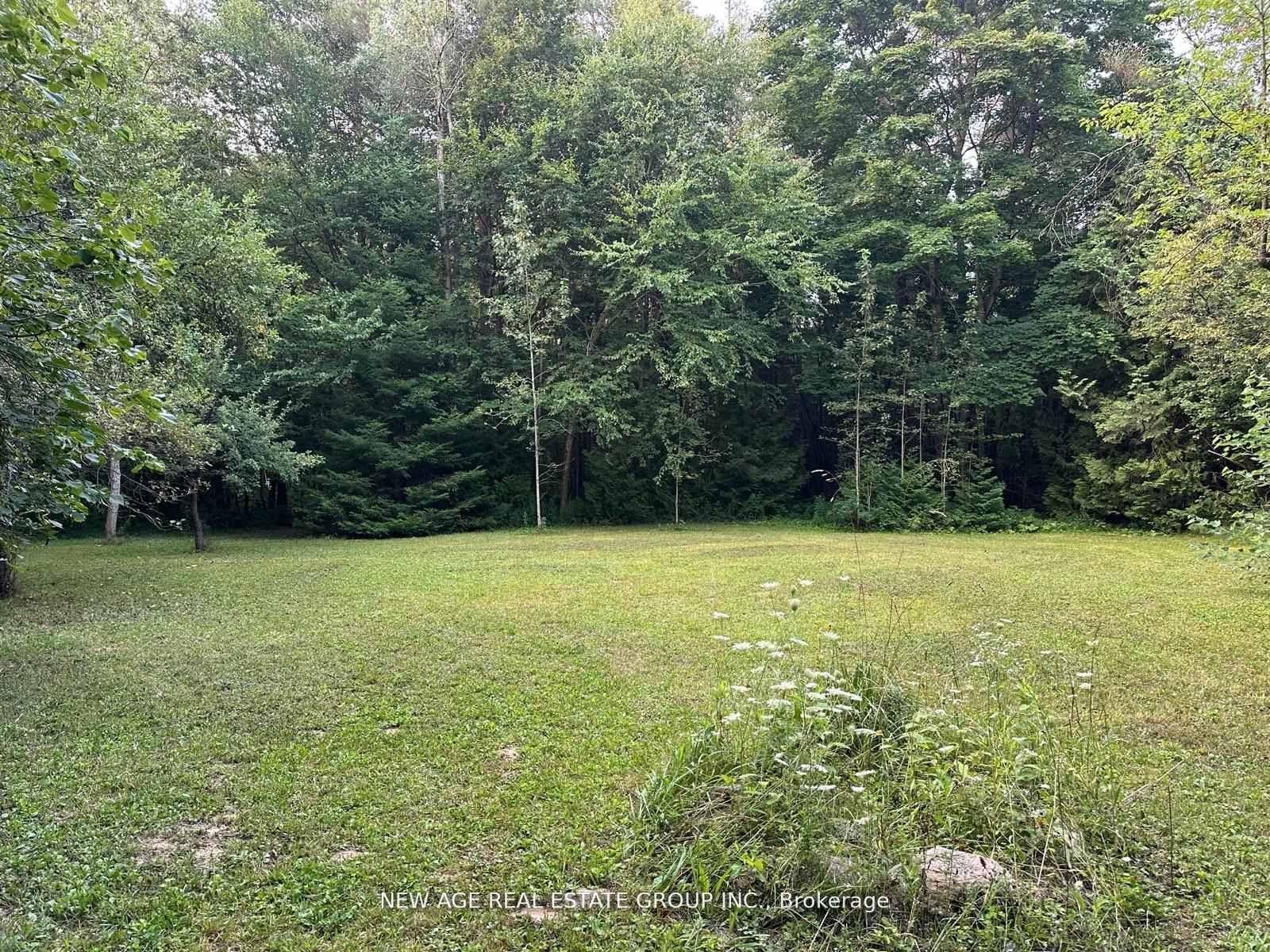 9031 Sideroad 17 Property Photo 16
