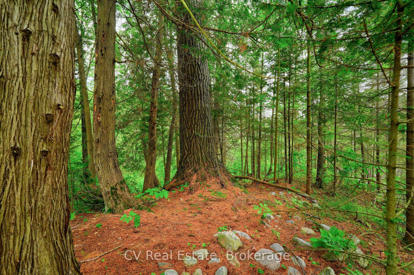 625 Chetwynd Road Property Photo 29