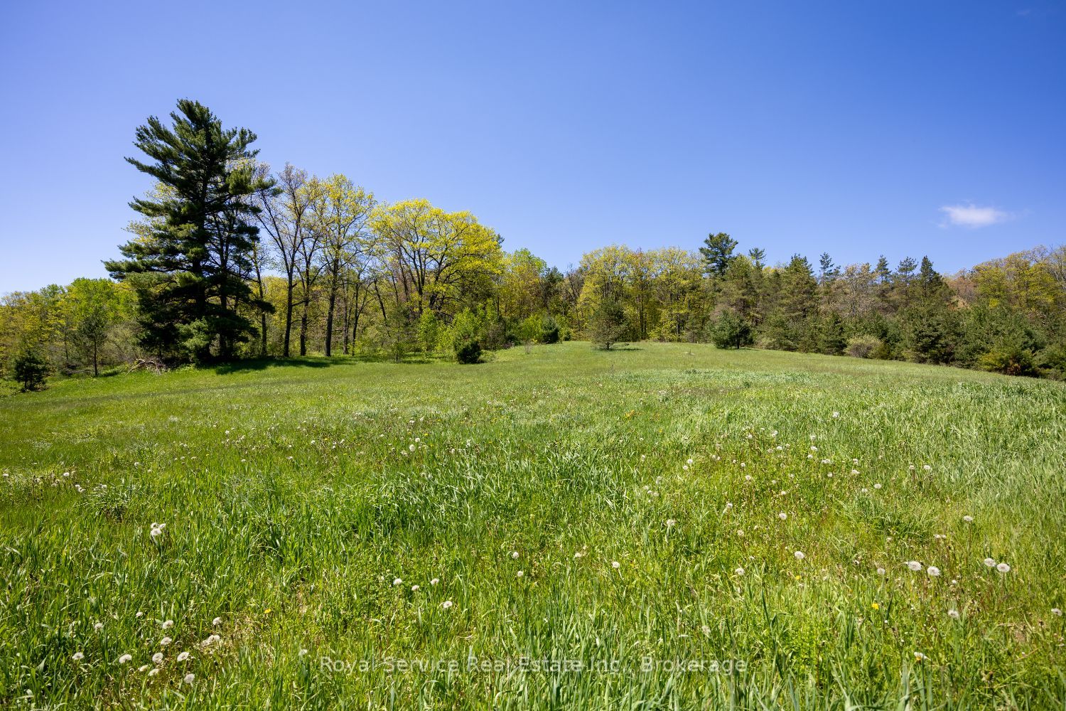 168 Elder Road Property Photo 33