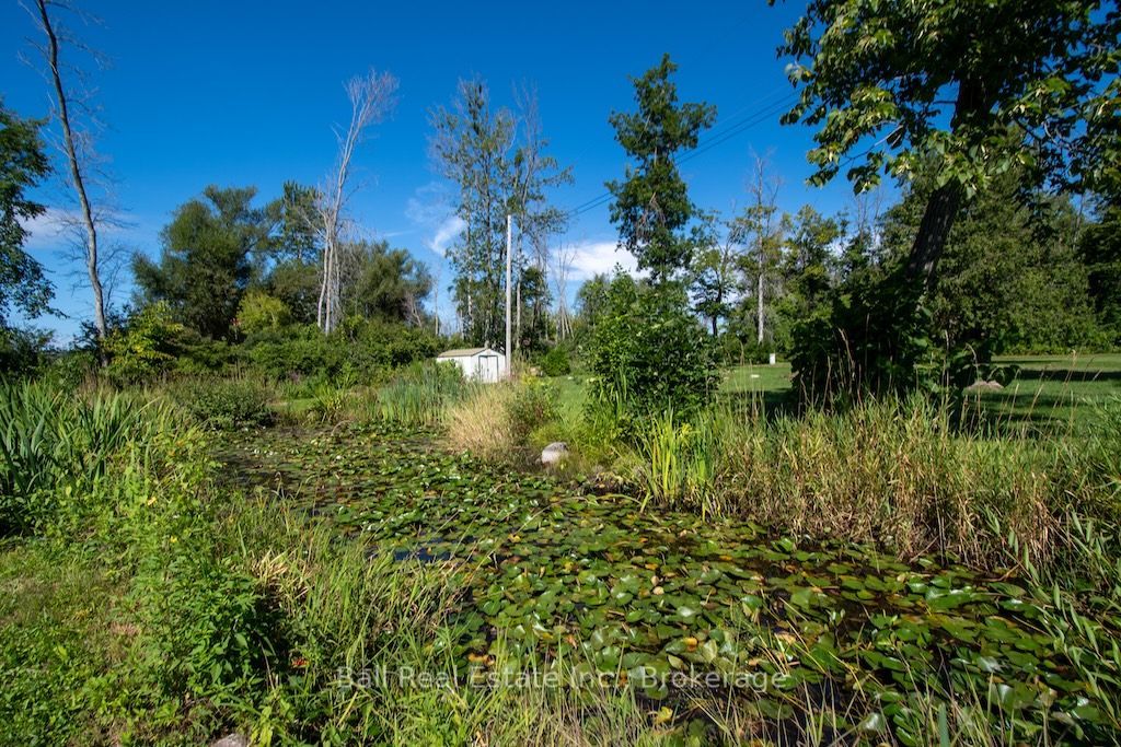 533 Shady Point Lane Property Photo 45