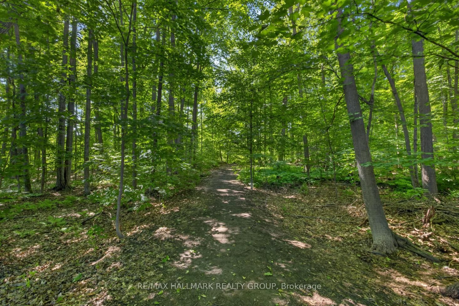 856 Norton Avenue Property Photo 34