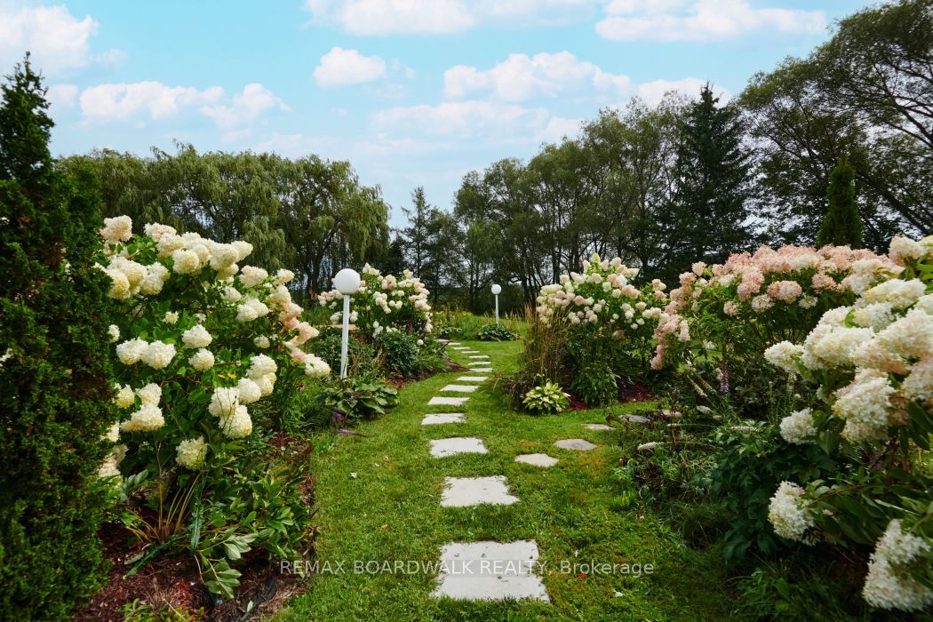3382 Carp Road Property Photo 32