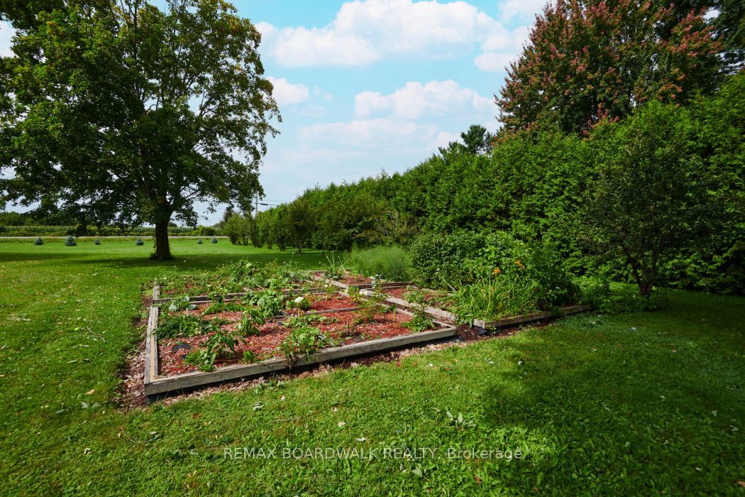 3382 Carp Road Property Photo 34