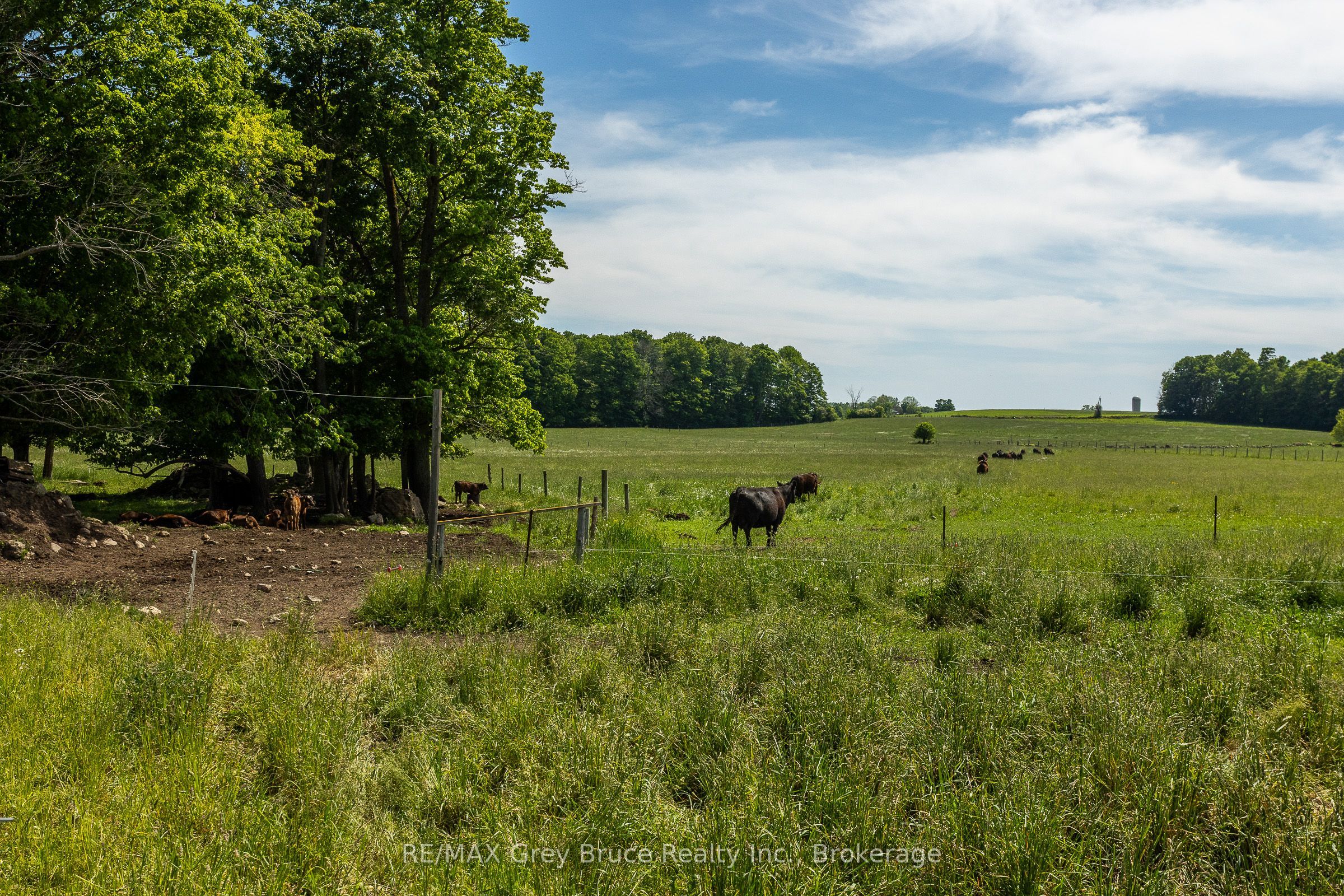 122152 Sideroad 12 Property Photo 43