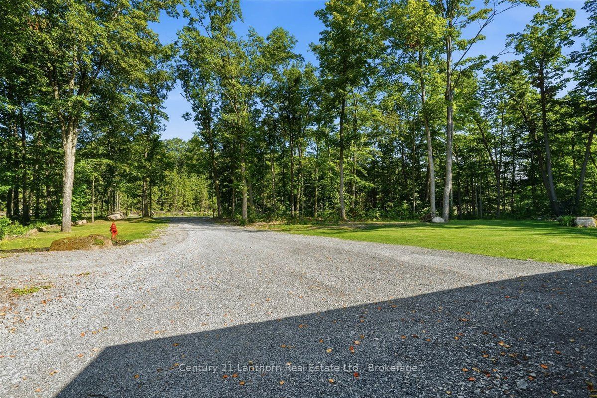 393 Wood Road Property Photo 45