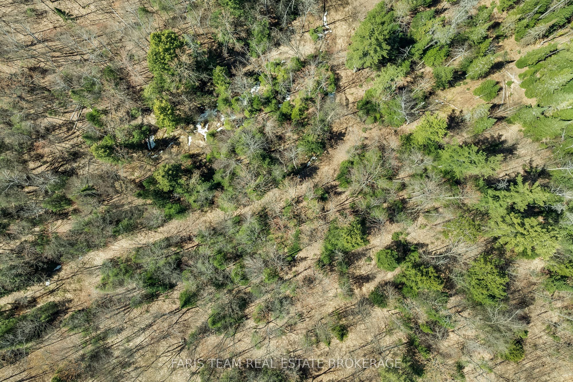 2180-2186 Hwy 141 Property Photo 19