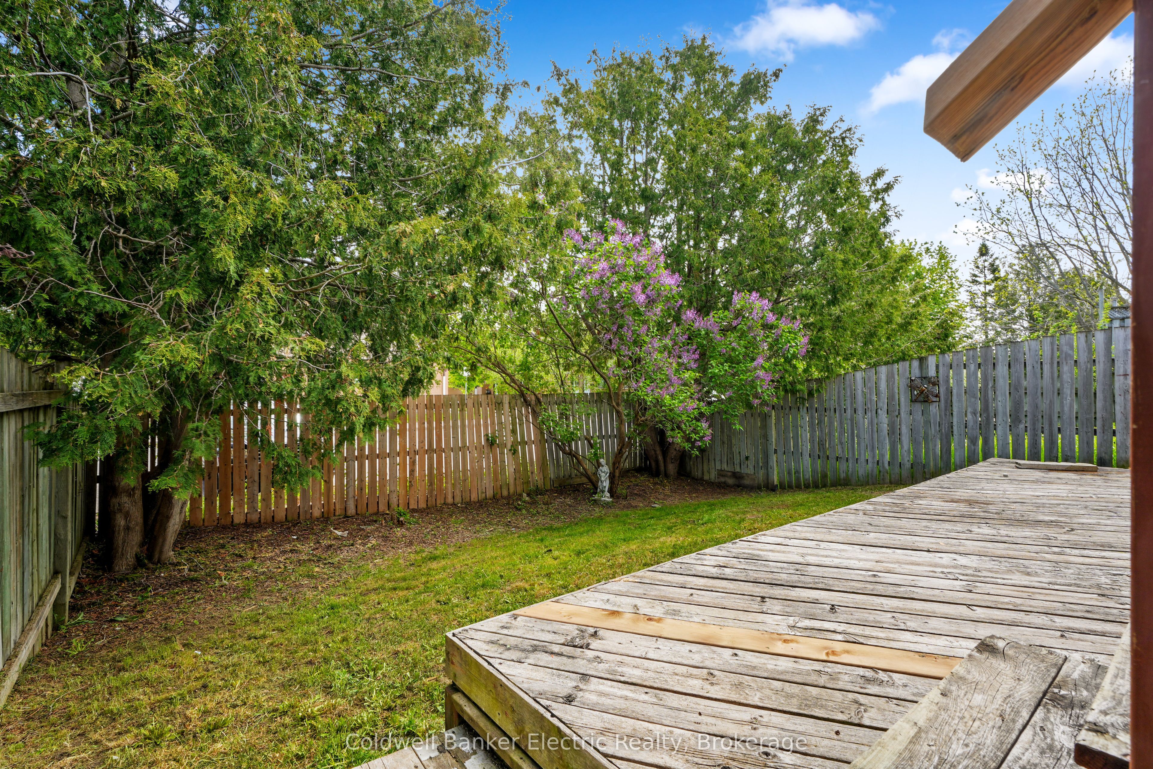 802 Mountain Ash Road Property Photo 21
