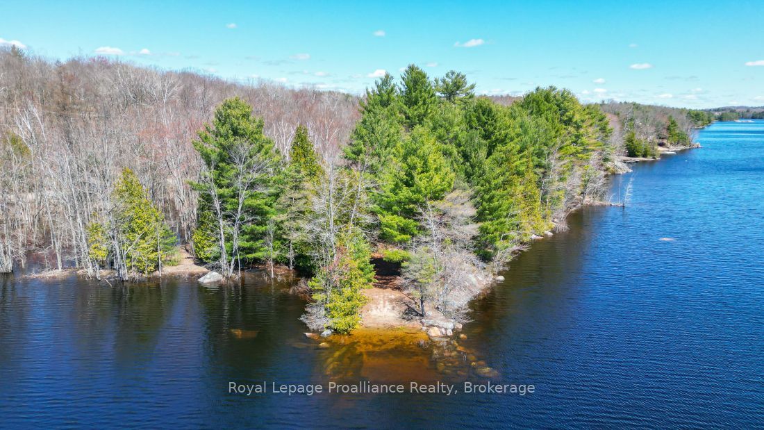 0 Bebris Road Lot 16 Property Photo 37