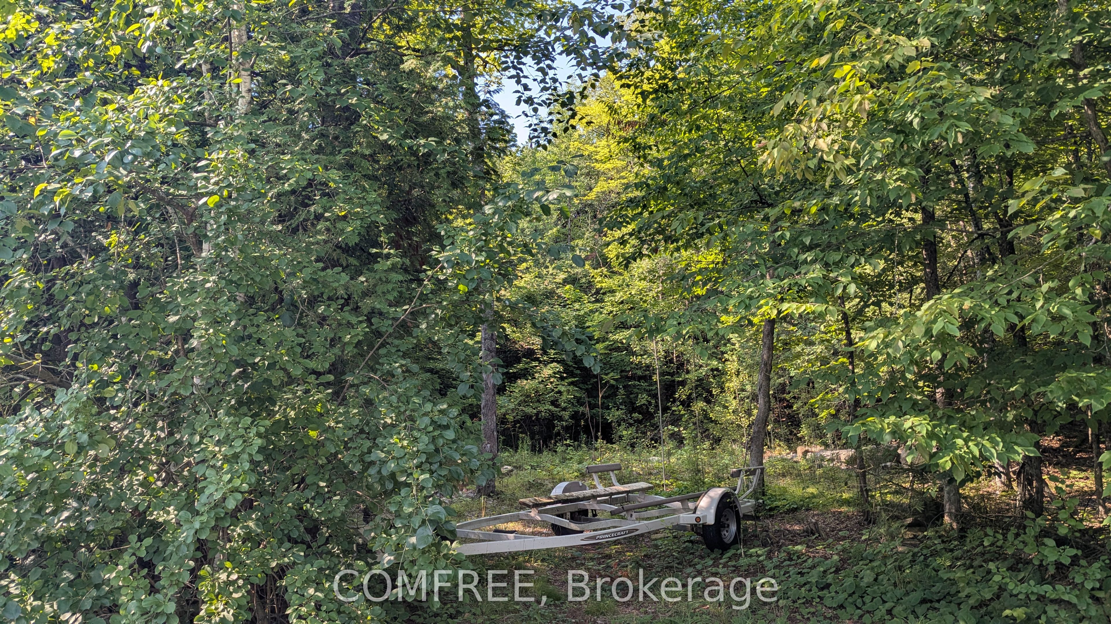 4859 Opeongo Road Property Photo 1