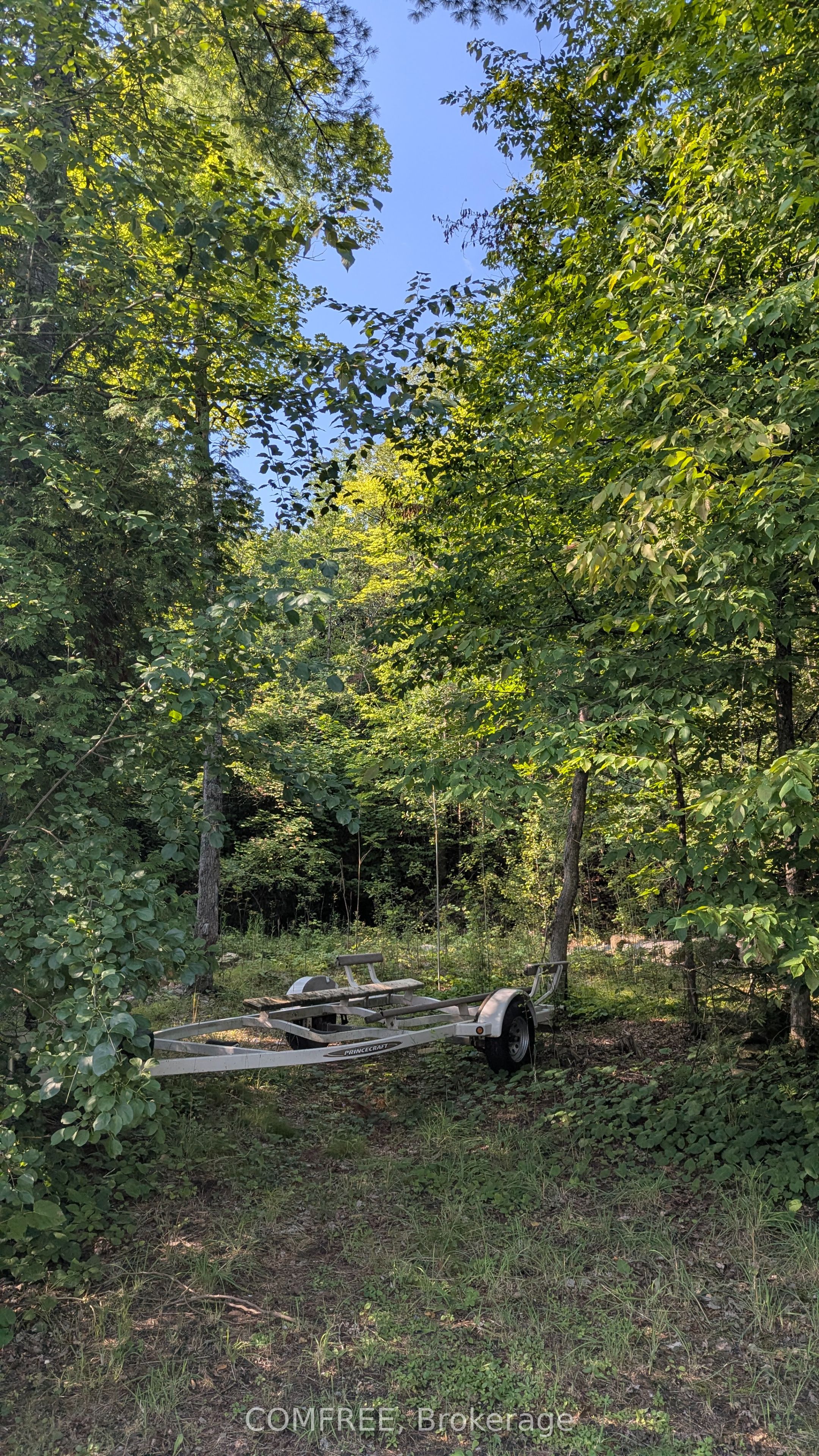 4859 Opeongo Road Property Photo 2