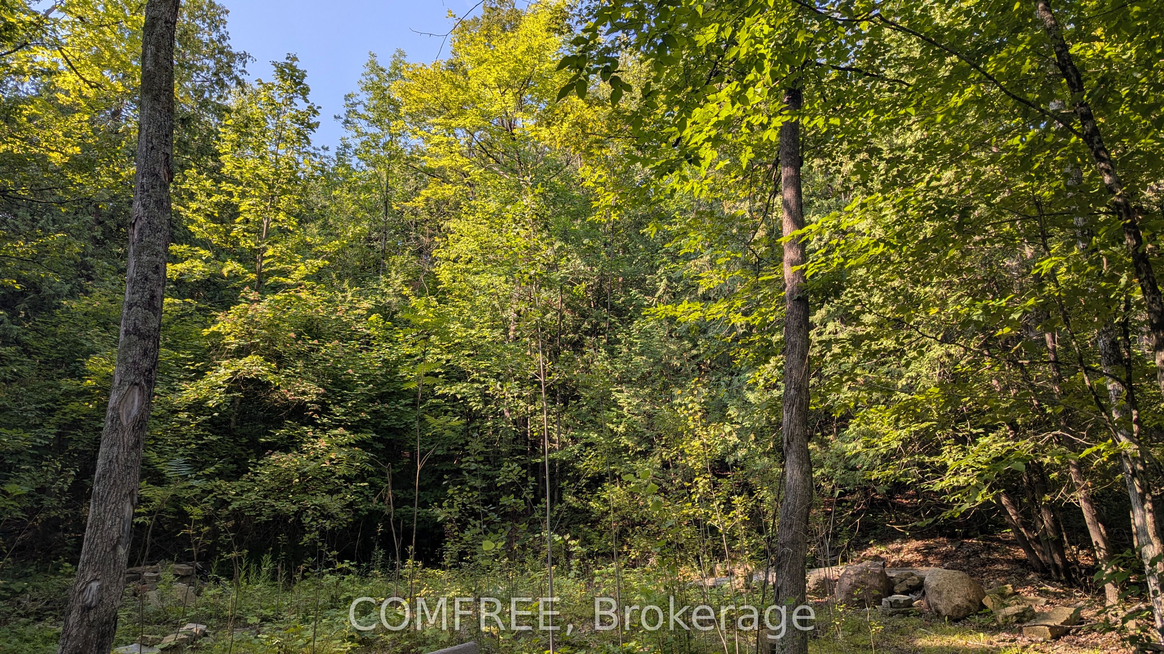 4859 Opeongo Road Property Photo 3