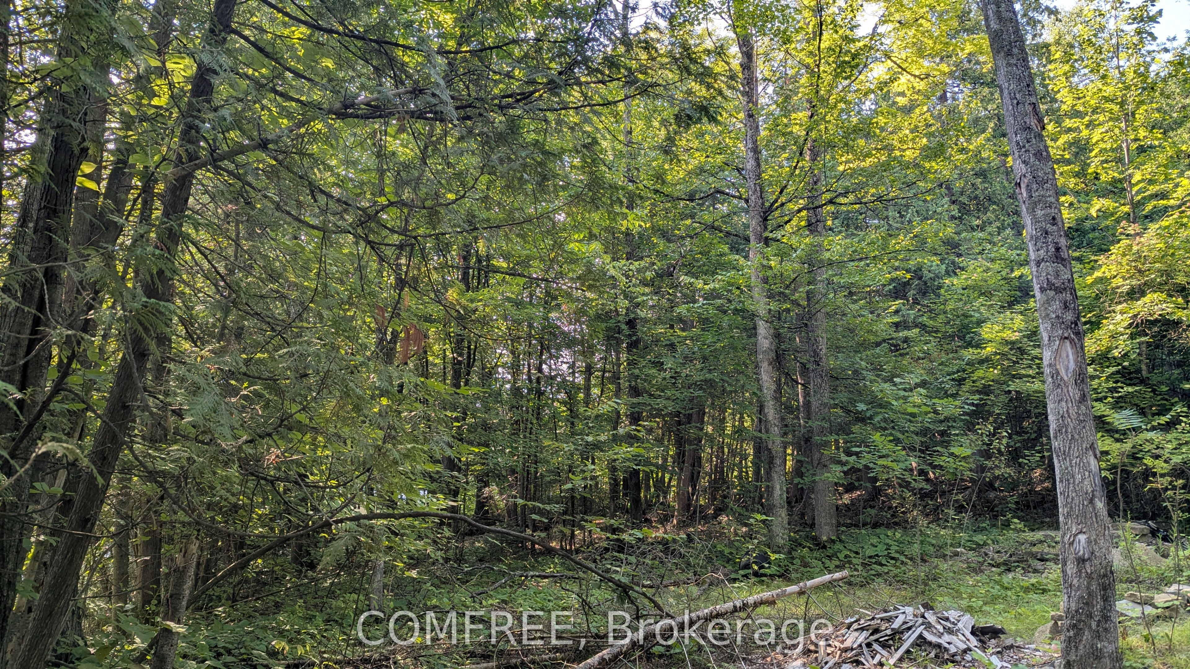 4859 Opeongo Road Property Photo 4