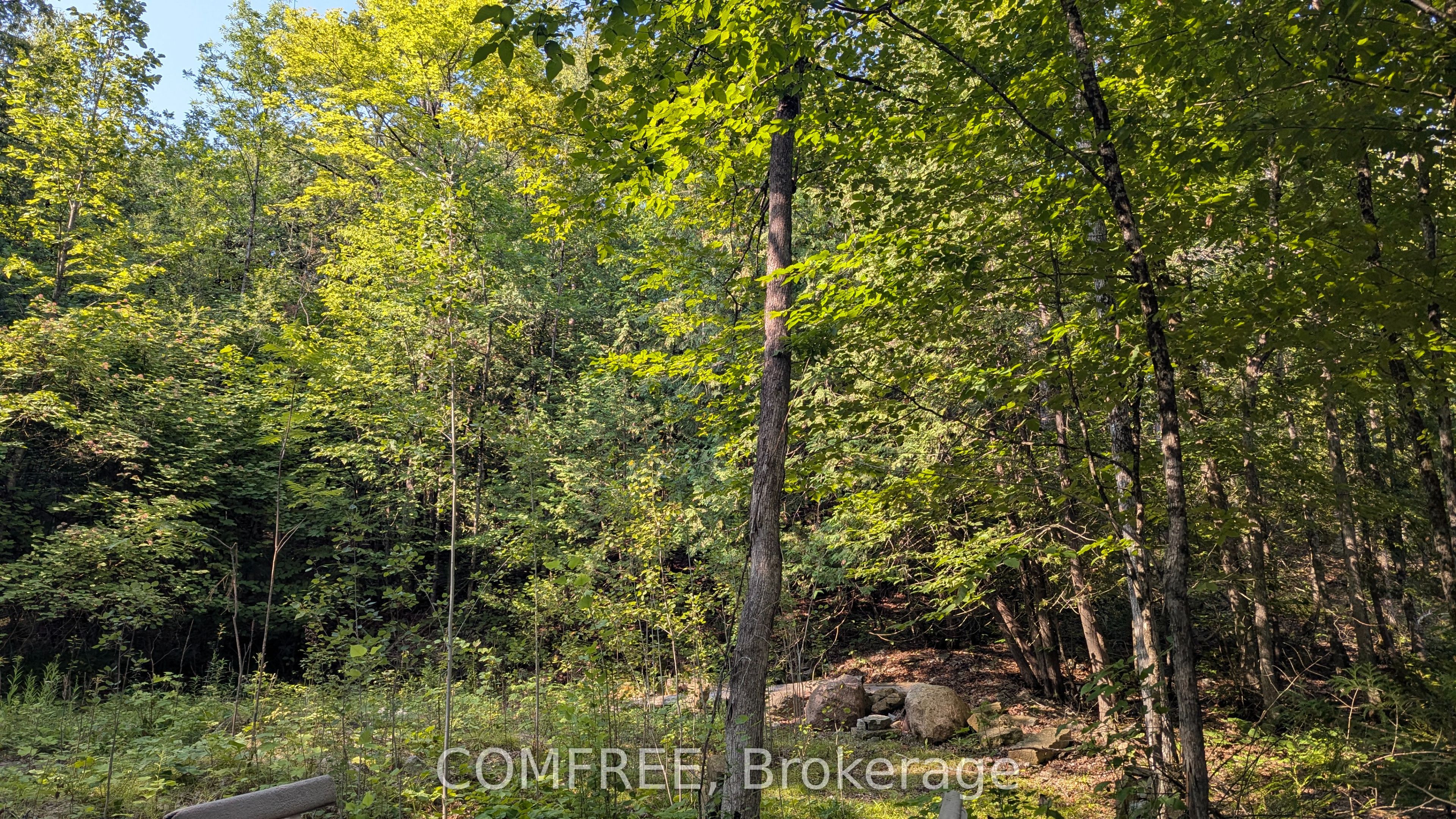 4859 Opeongo Road Property Photo 6