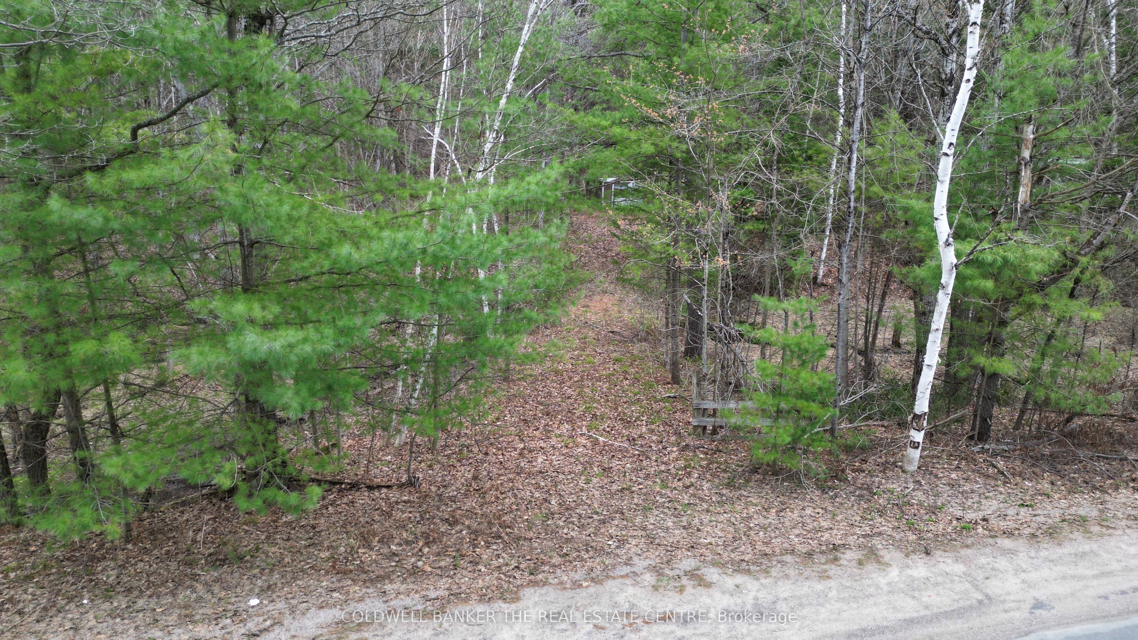 2493 Housey's Rapids Road Property Photo 5