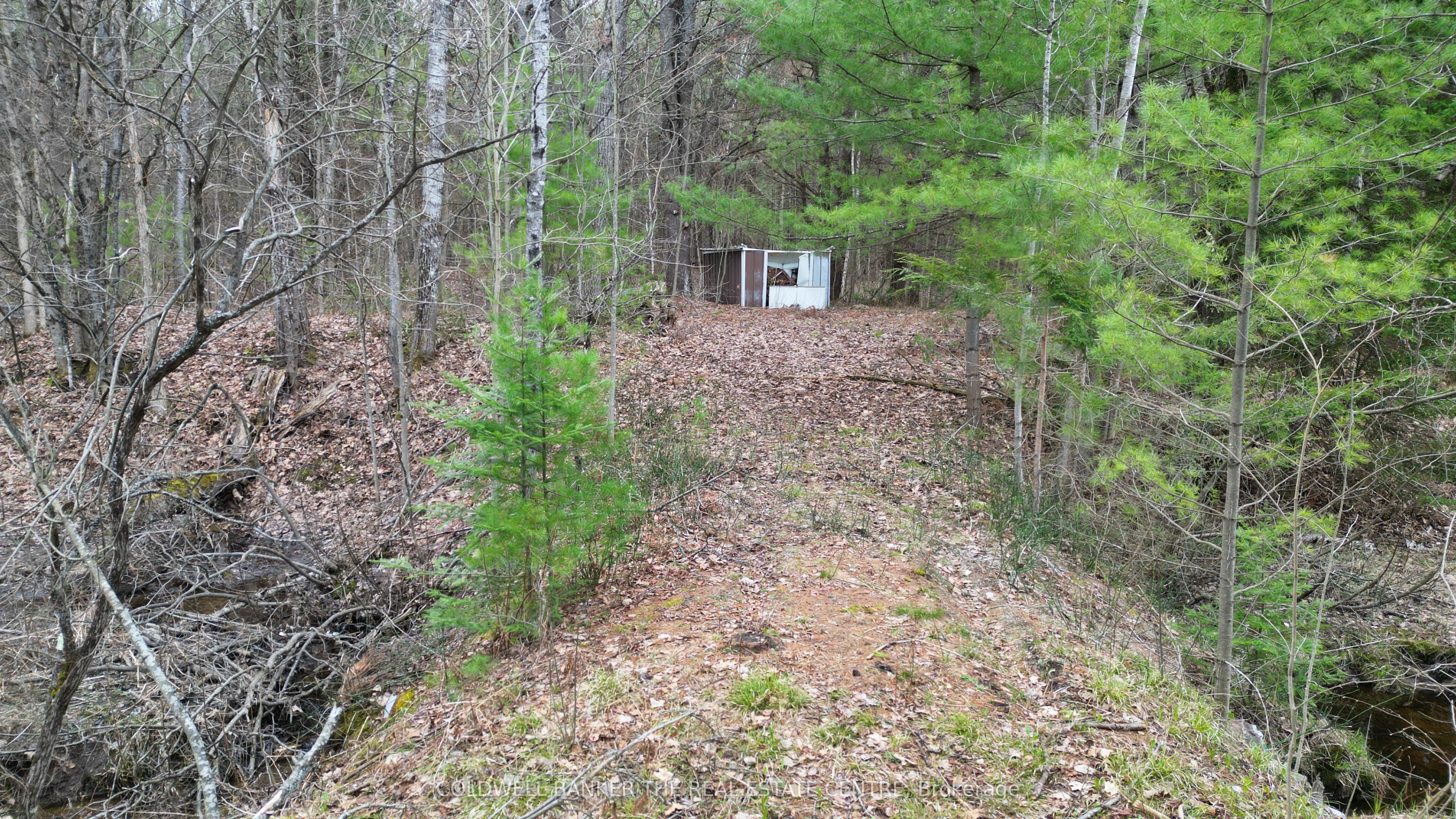 2493 Housey's Rapids Road Property Photo 6