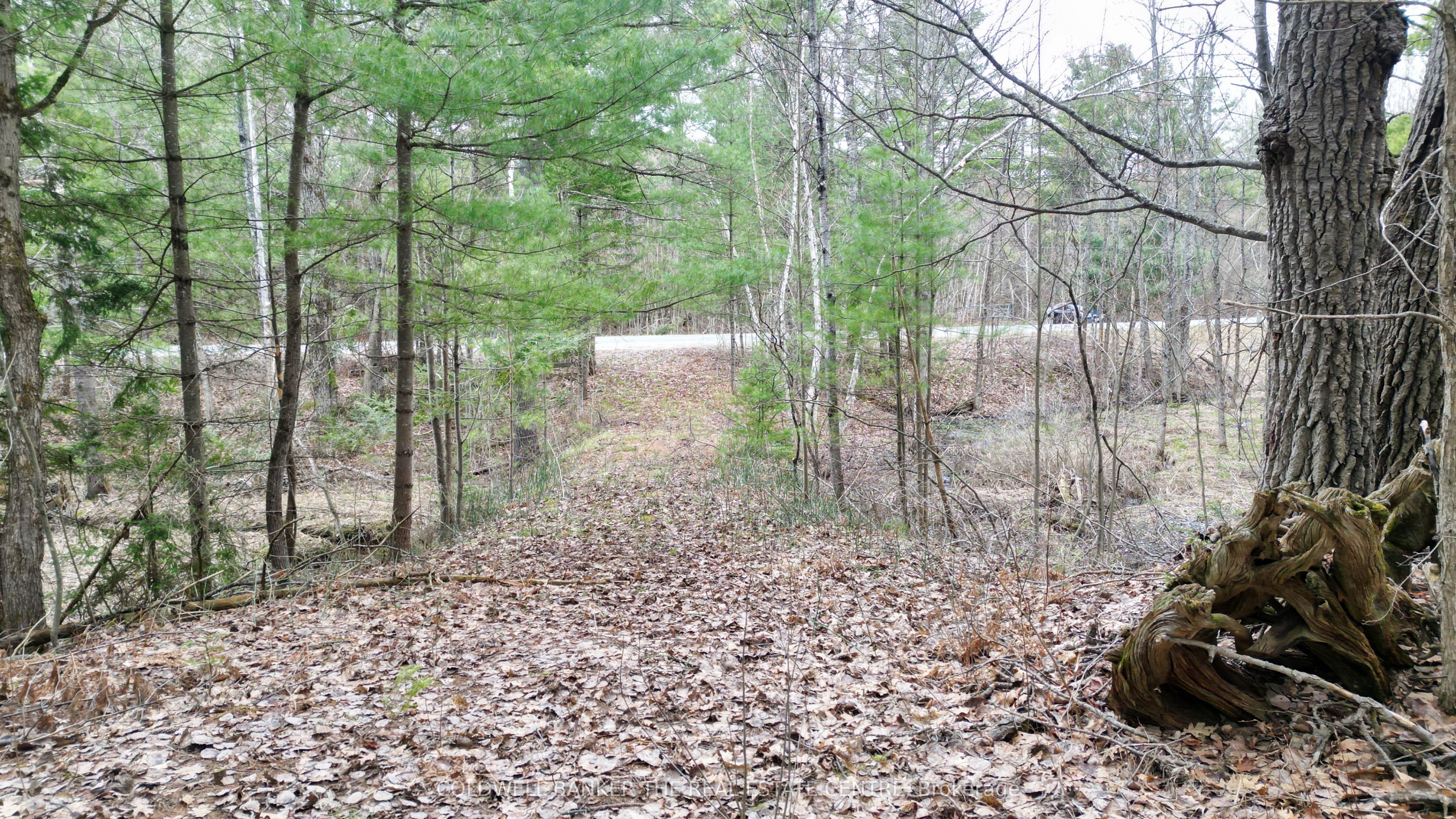 2493 Housey's Rapids Road Property Photo 7