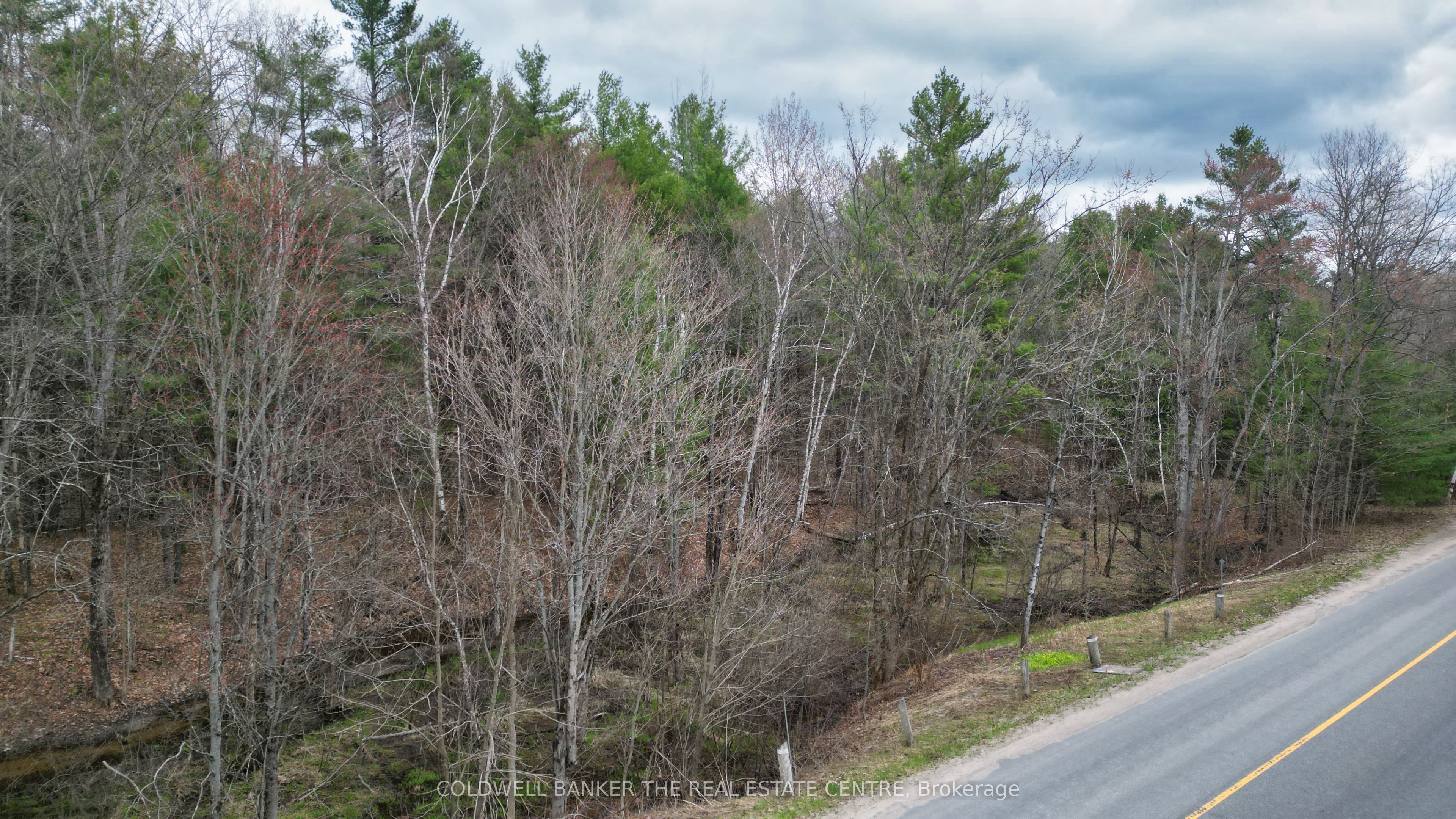 2493 Housey's Rapids Road Property Photo 9