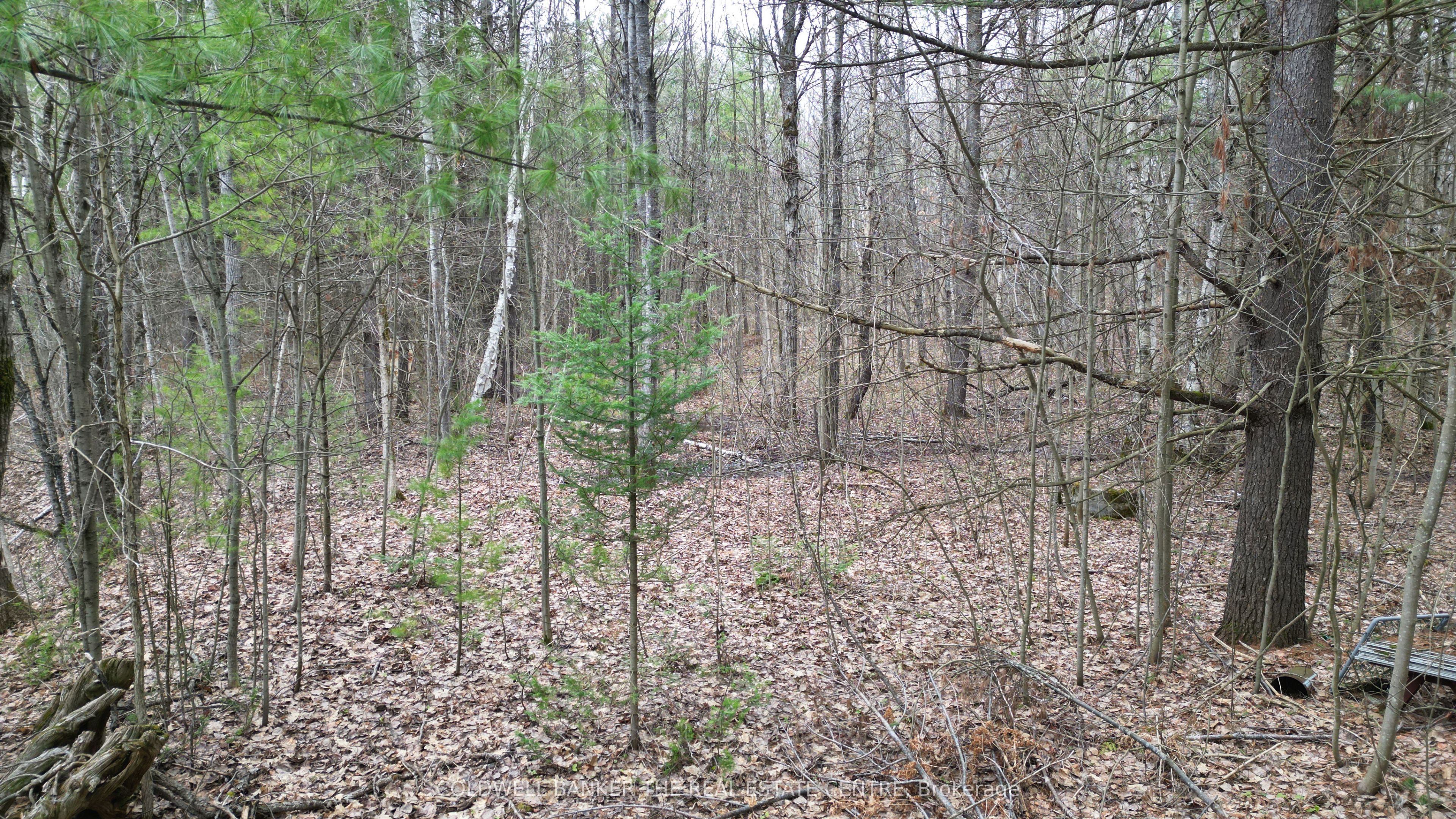 2493 Housey's Rapids Road Property Photo 10