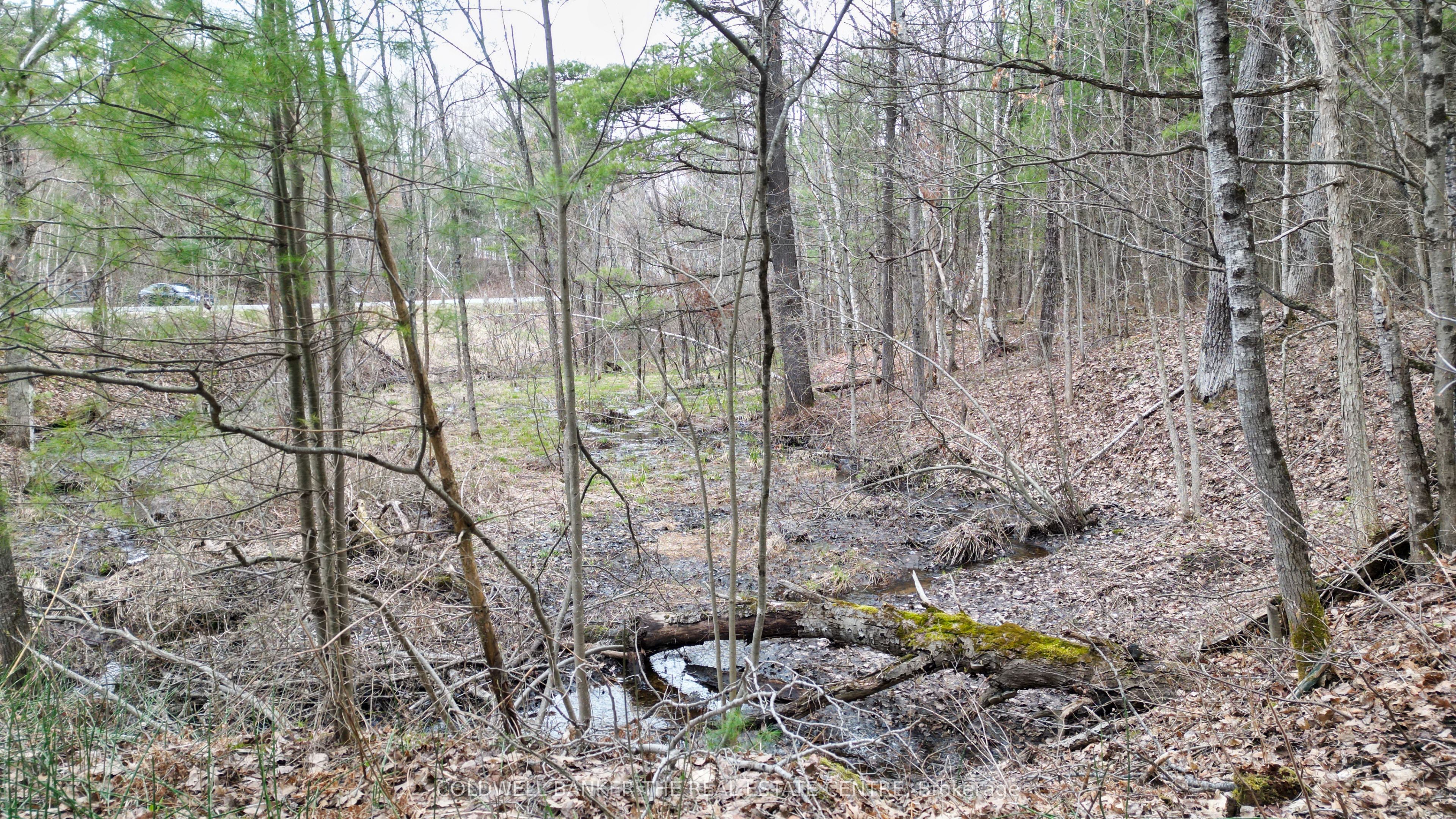 2493 Housey's Rapids Road Property Photo 11