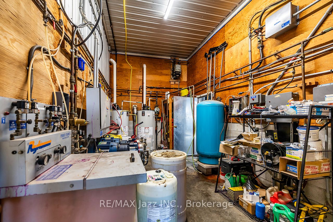 58 Cleak Street Property Photo 22