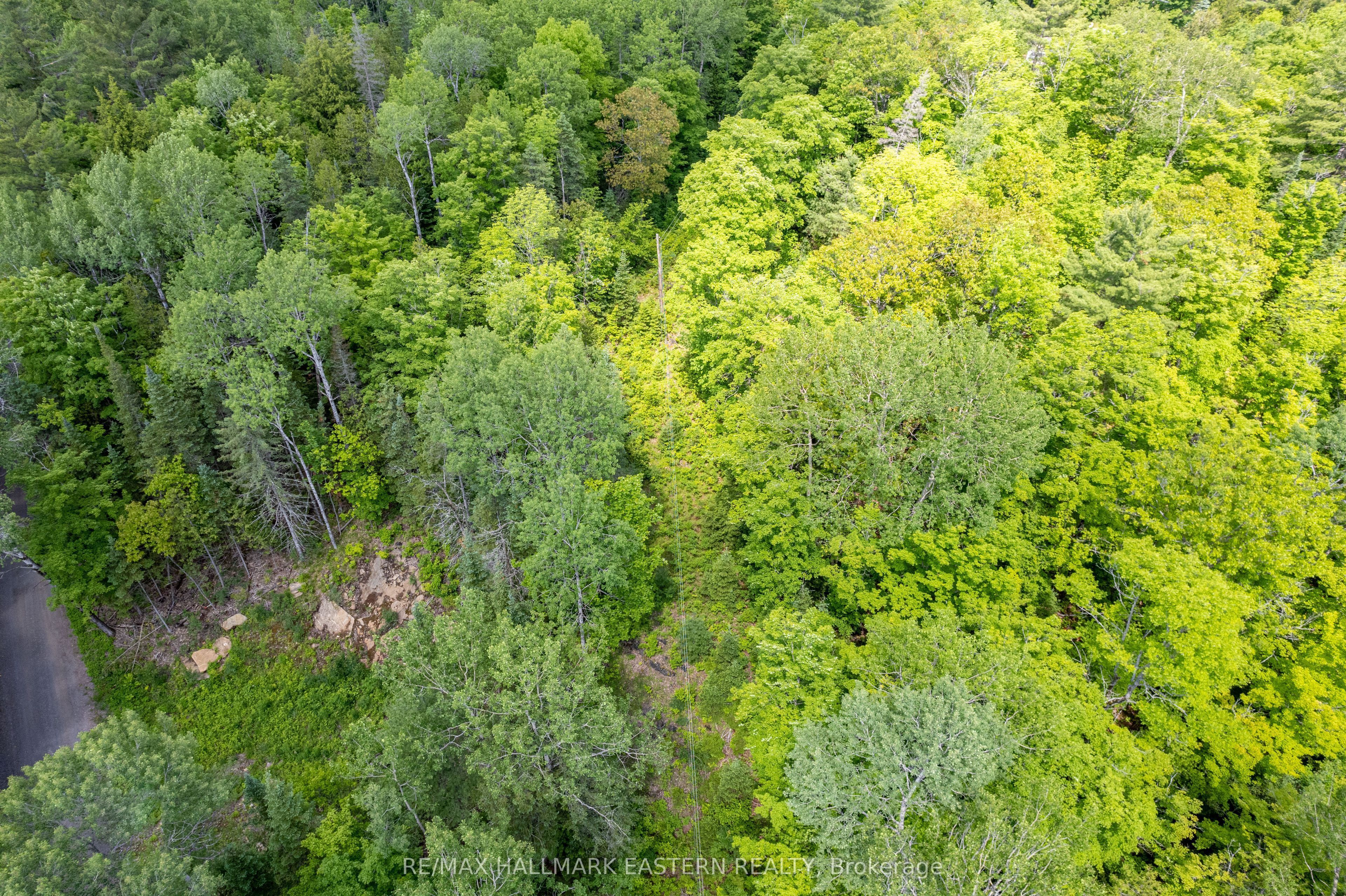 00 Johnson Road Property Photo 9