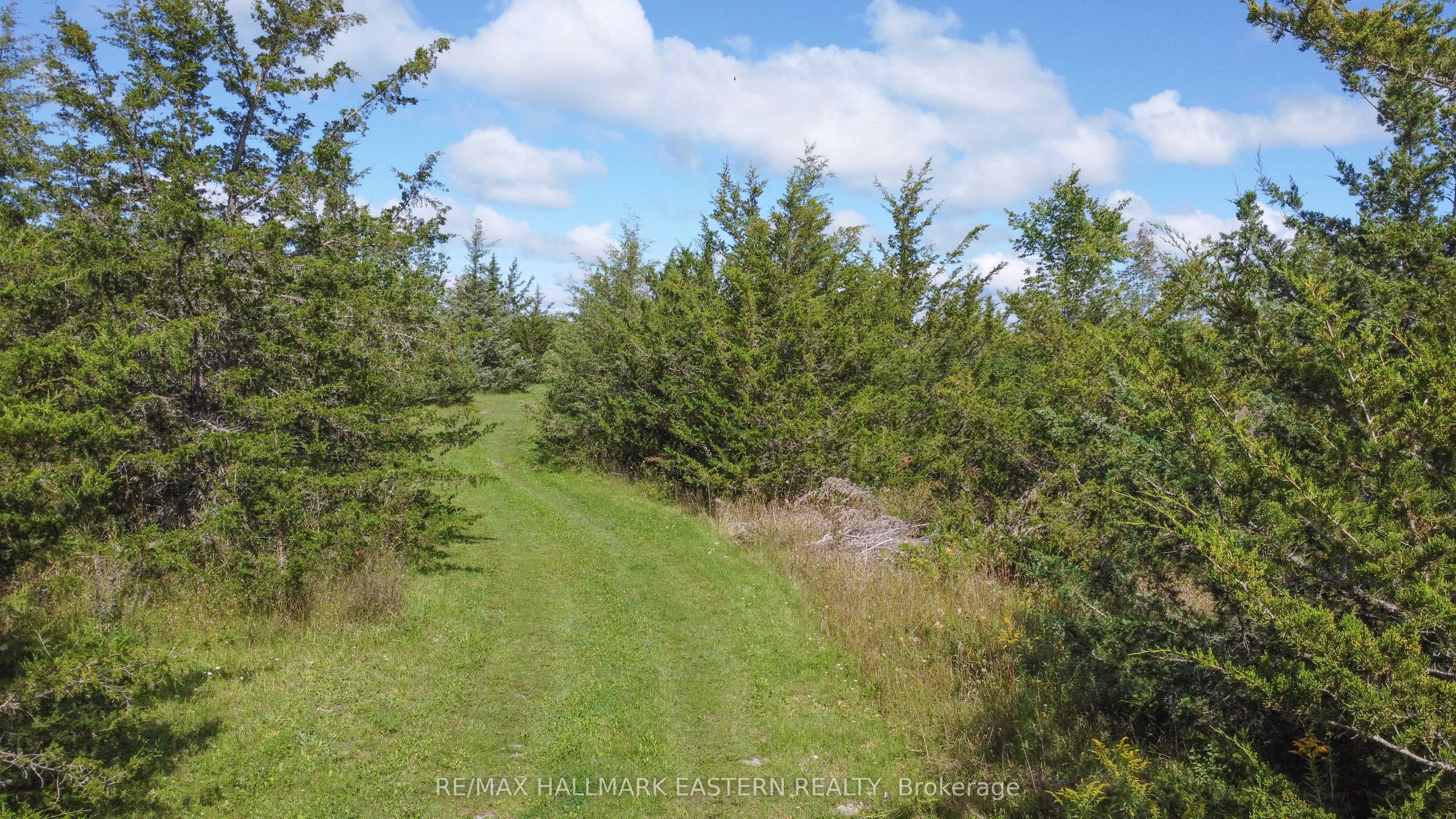 2098 13th Line E Property Photo 7
