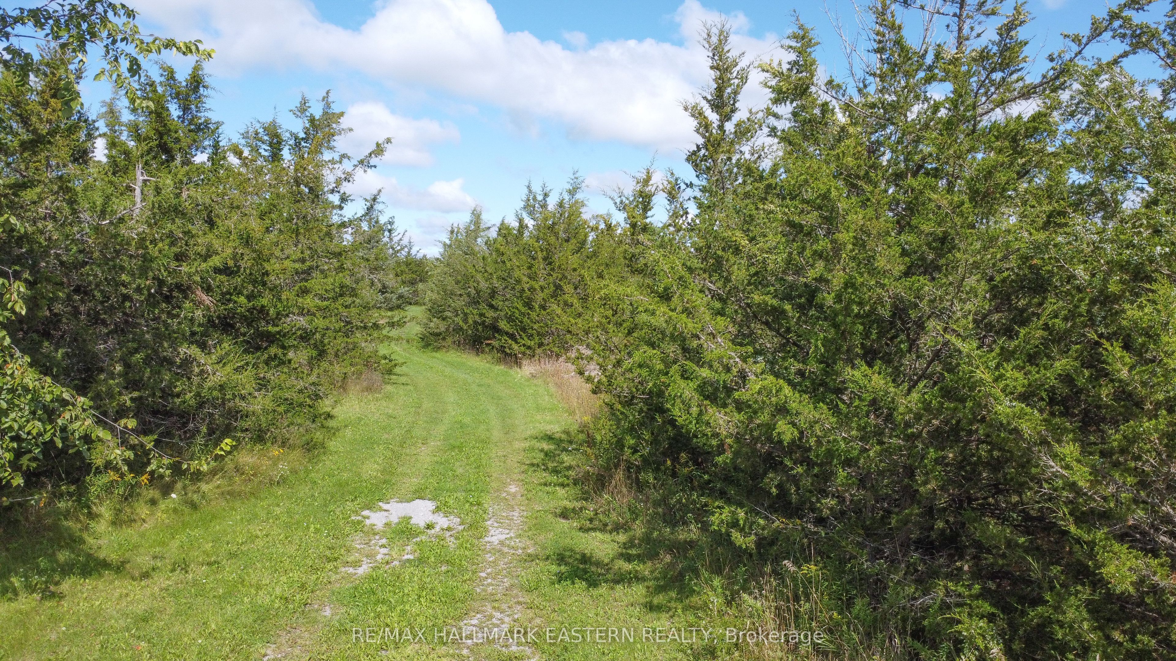 2098 13th Line E Property Photo 8