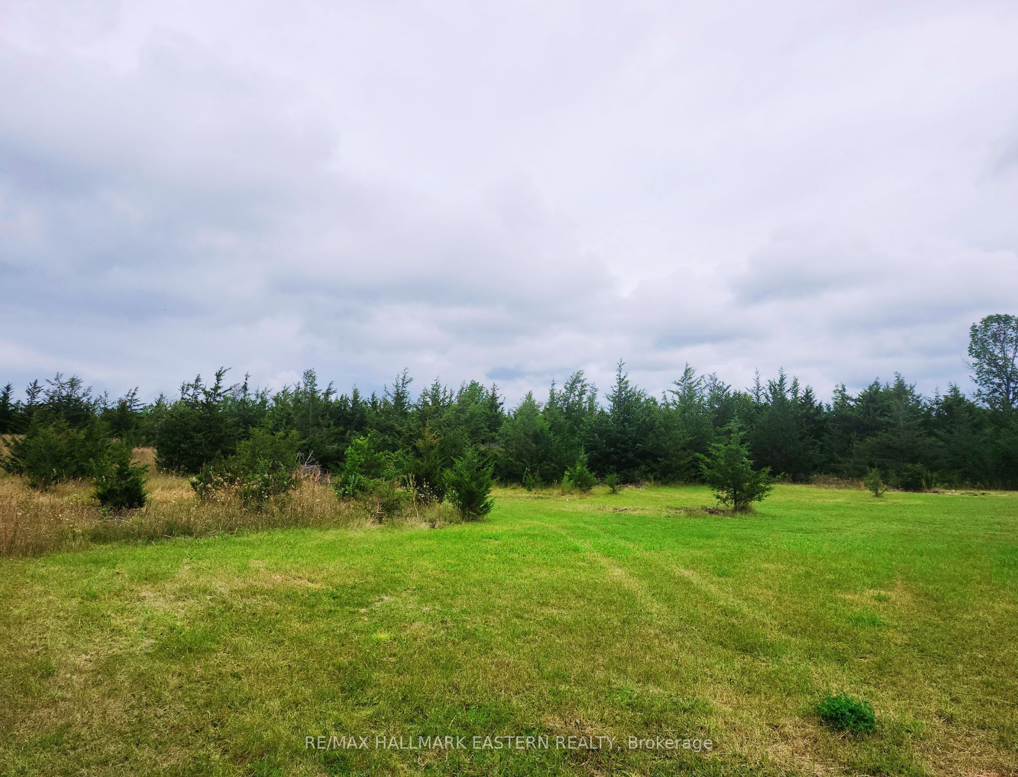 2098 13th Line E Property Photo 17