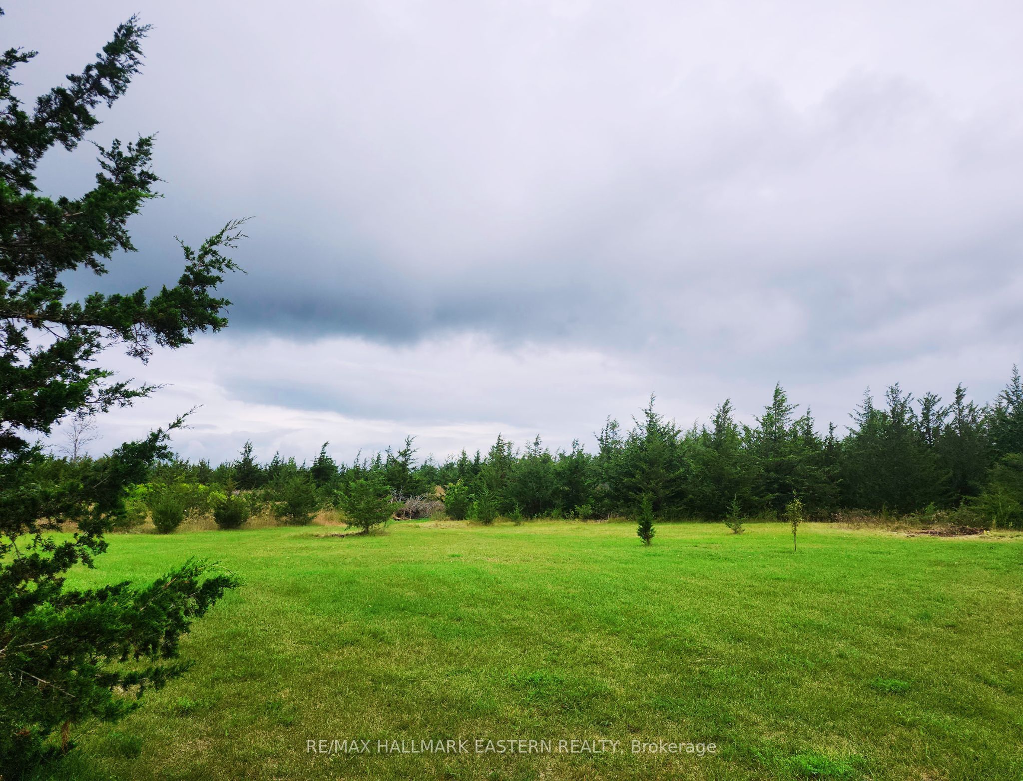 2098 13th Line E Property Photo 18