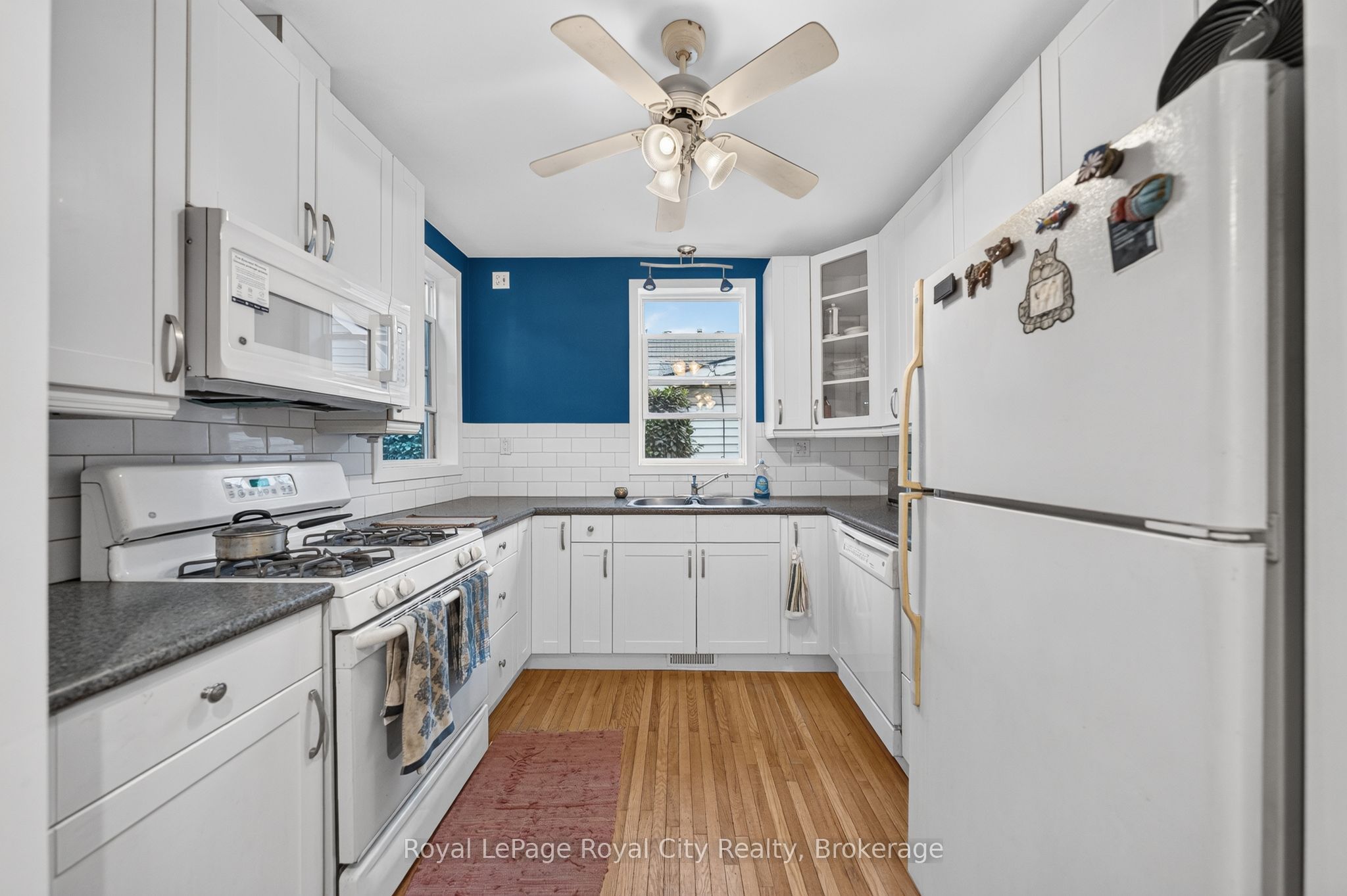19 Walter Street Property Photo 19