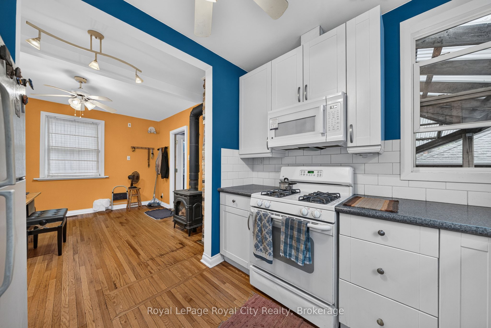 19 Walter Street Property Photo 22