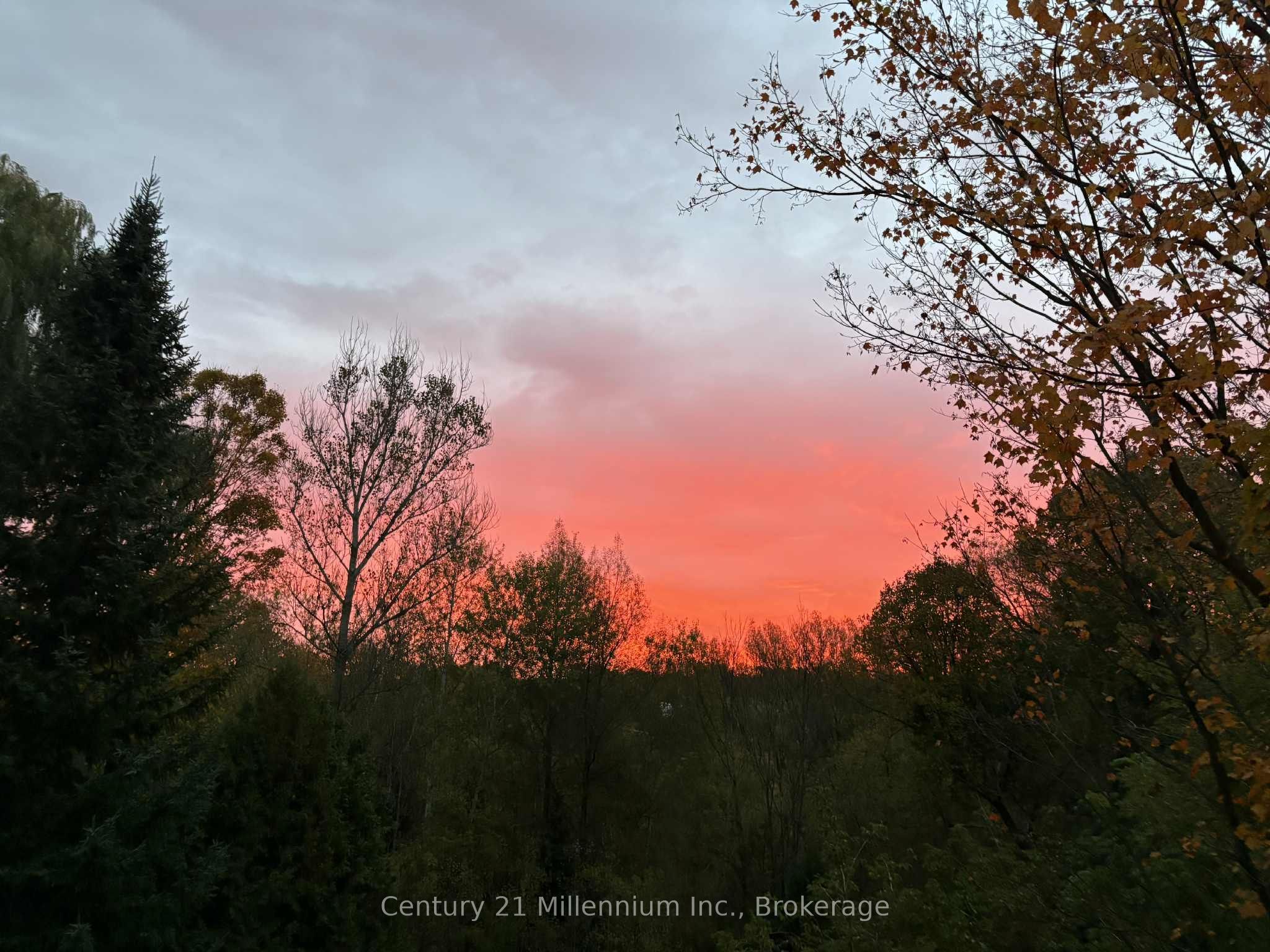 415877 Tenth Line Property Photo 32