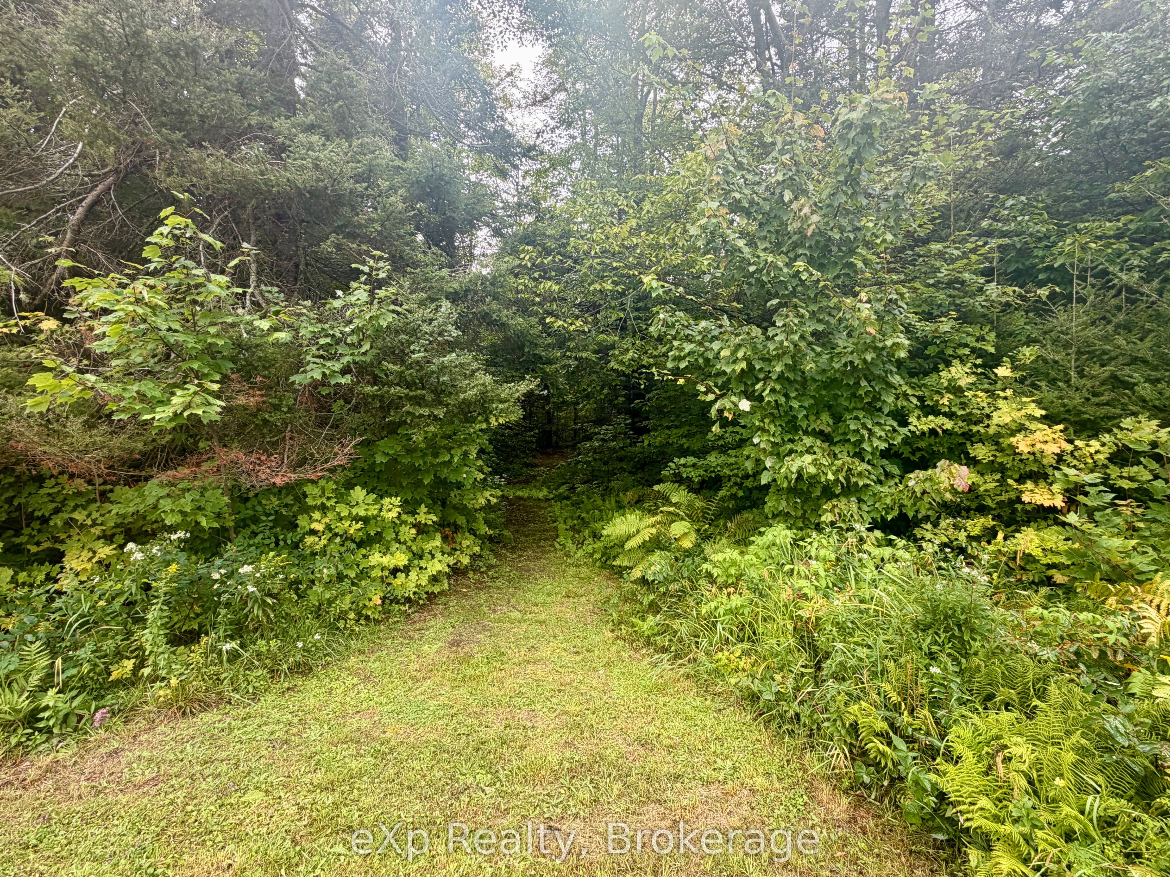1643 And 1671 Eagle Lake Road Property Photo 40