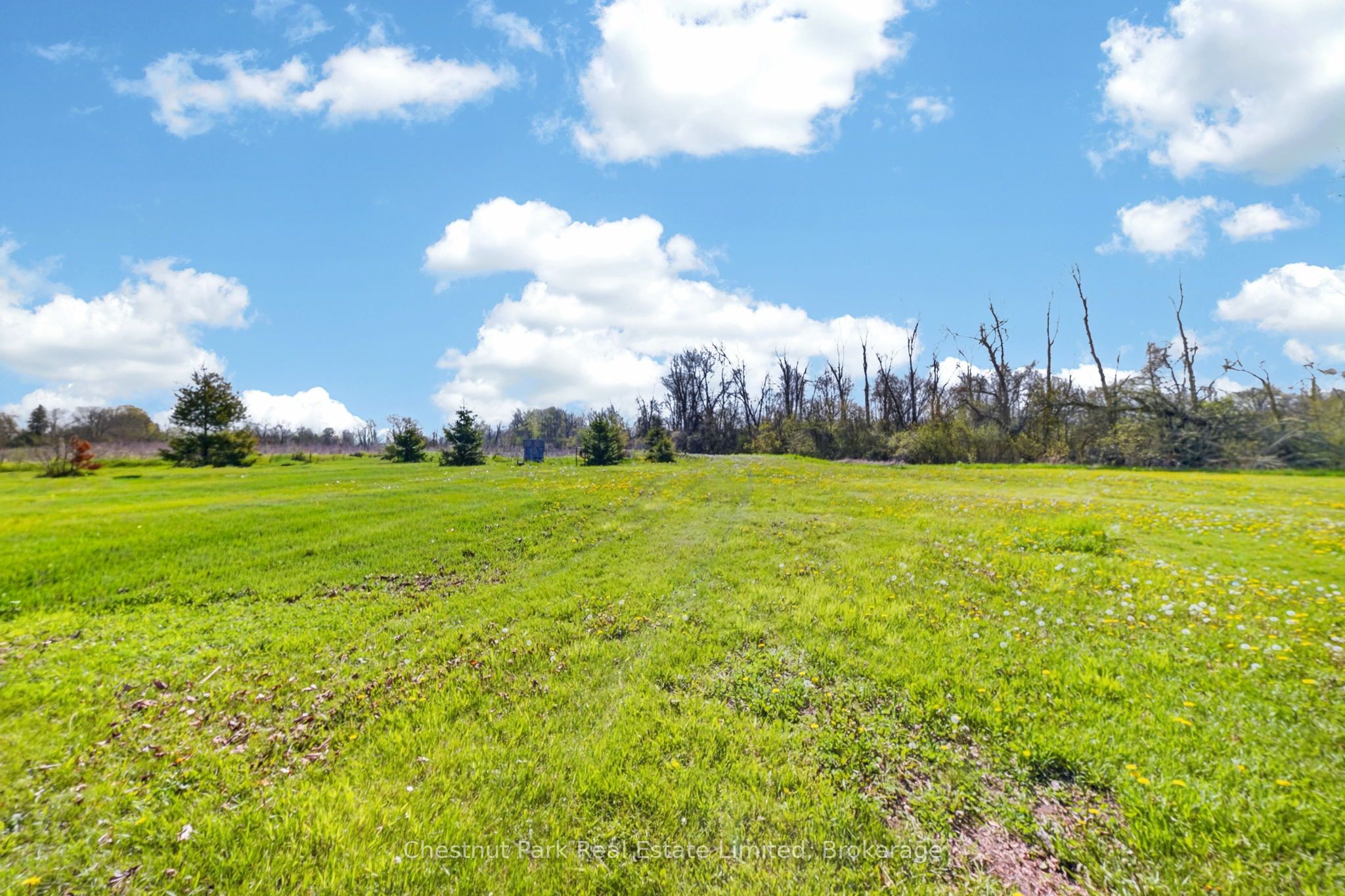 1092 Huycks Point Road Property Photo 8