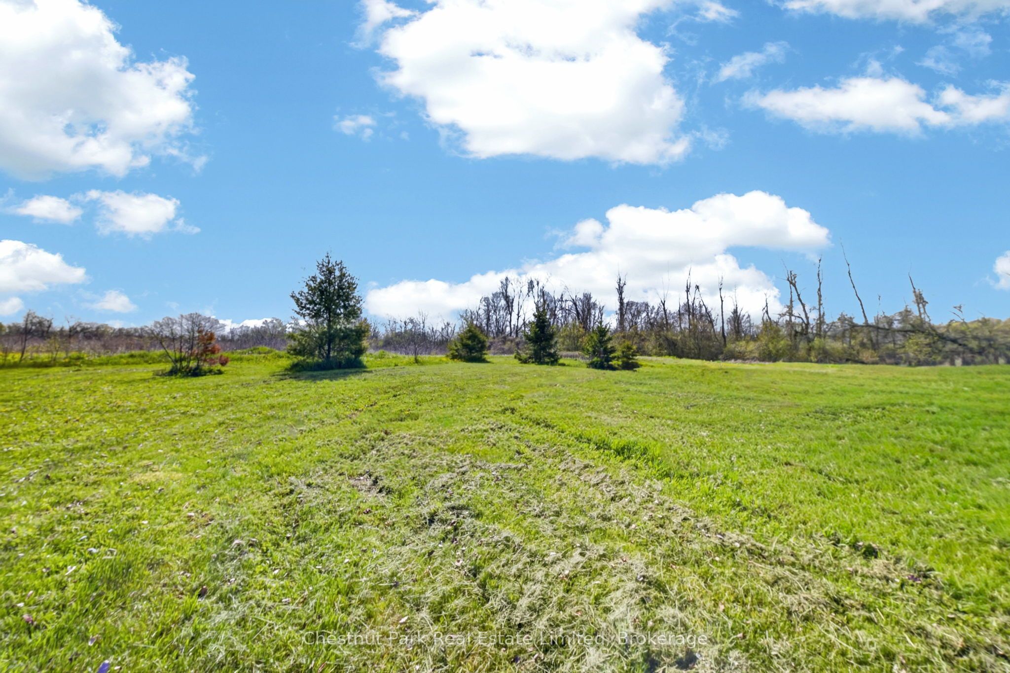 1092 Huycks Point Road Property Photo 9
