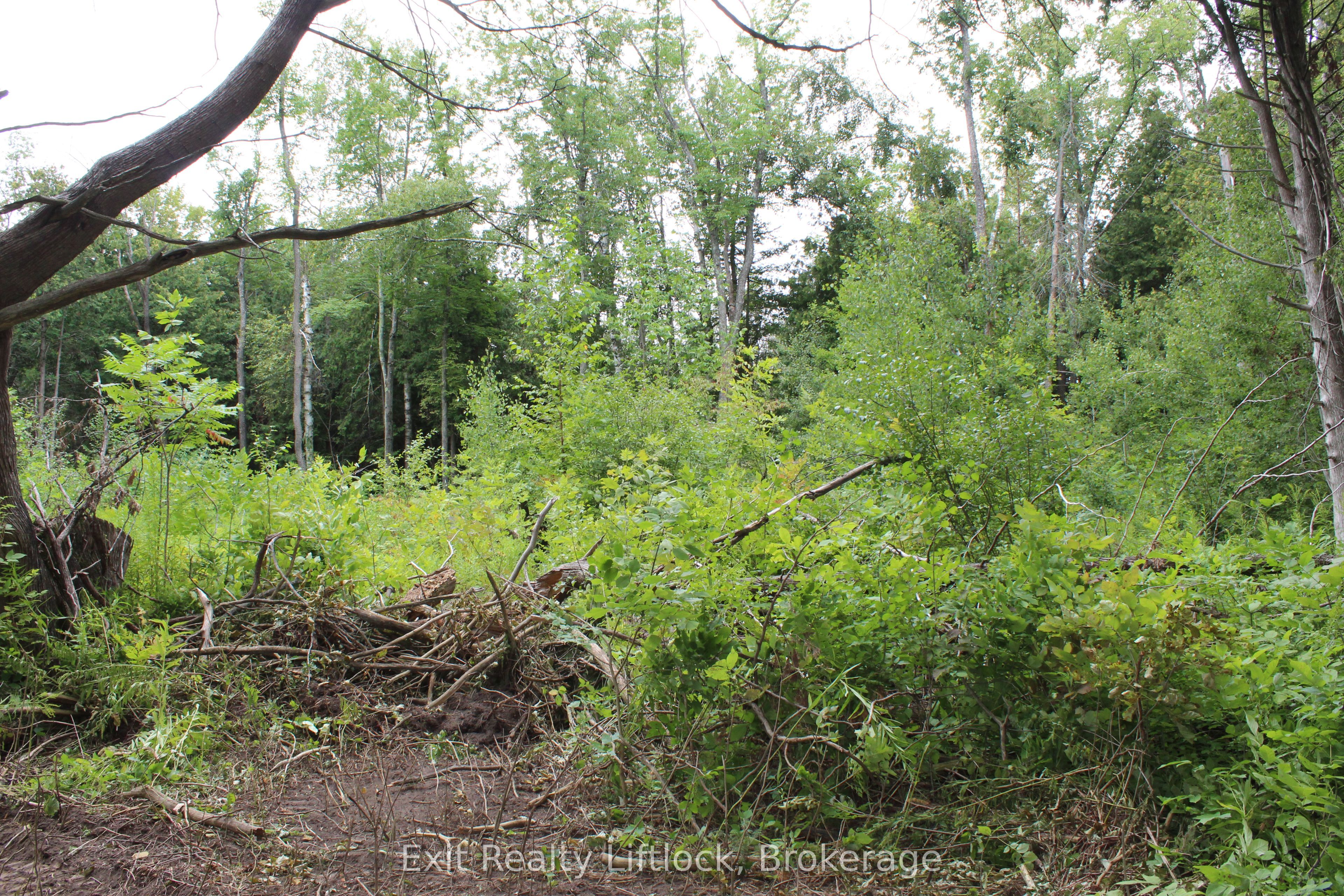 0 Fife's Bay Road Property Photo 7