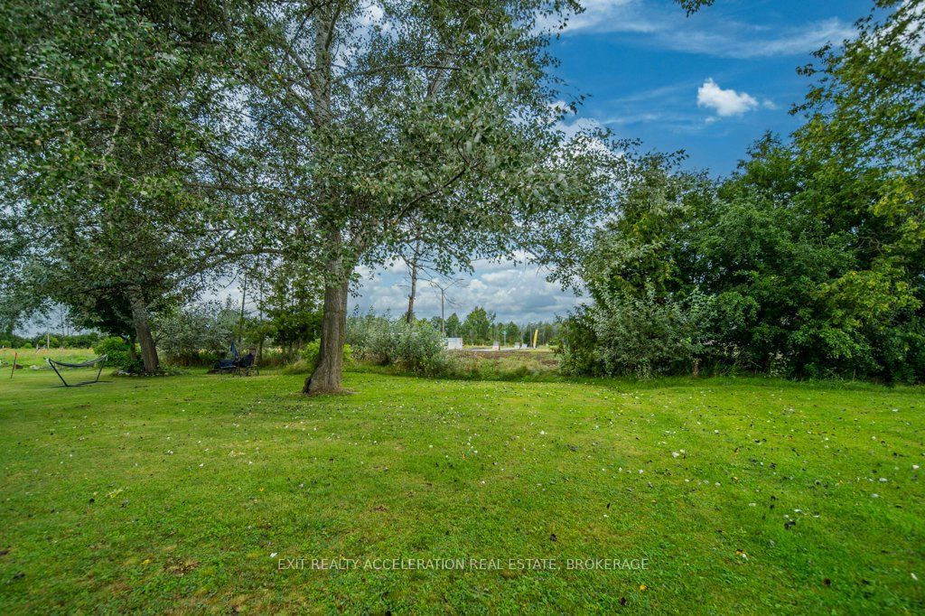 4 Birch Street Property Photo 33