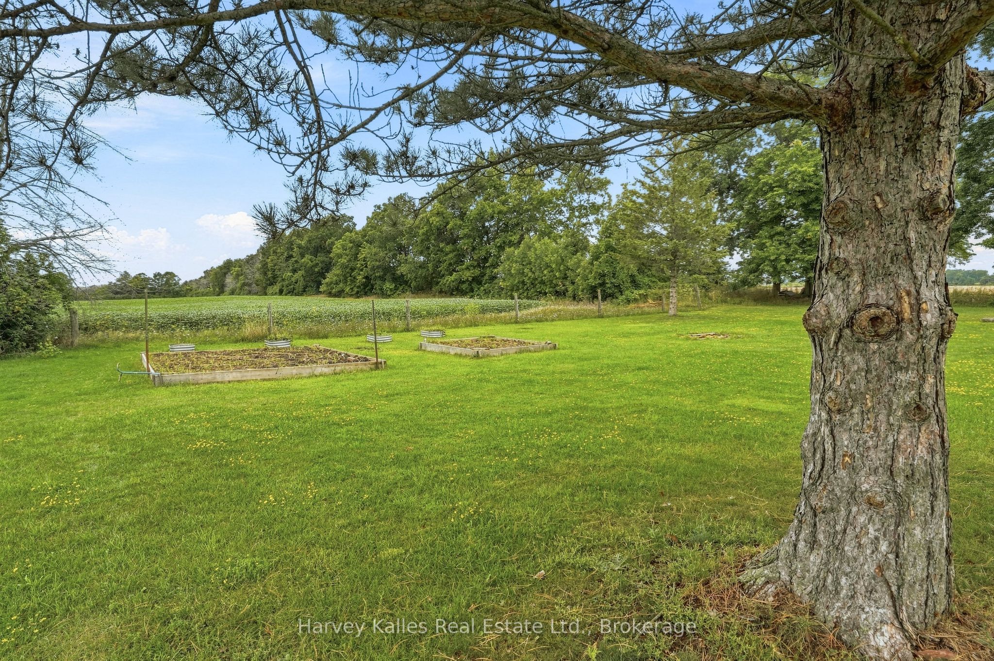 147 Caughey Road Property Photo 33