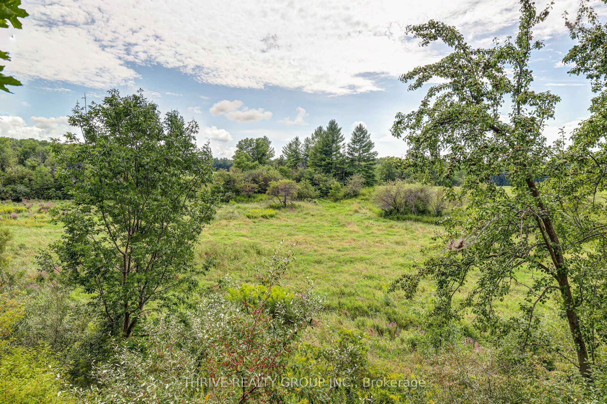 21217 Thames Road Property Photo 50