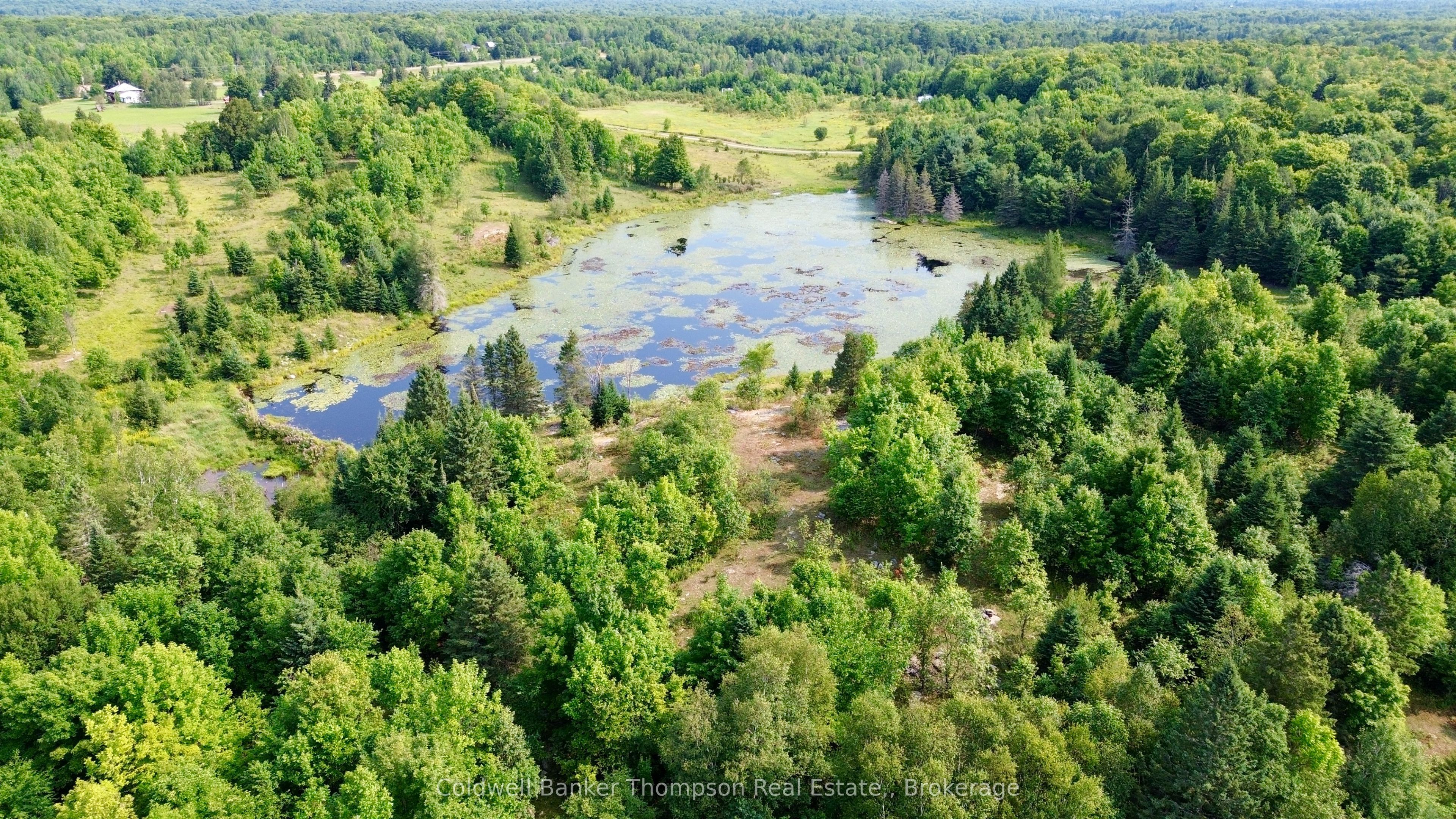 12899 522 Highway W Property Photo 6