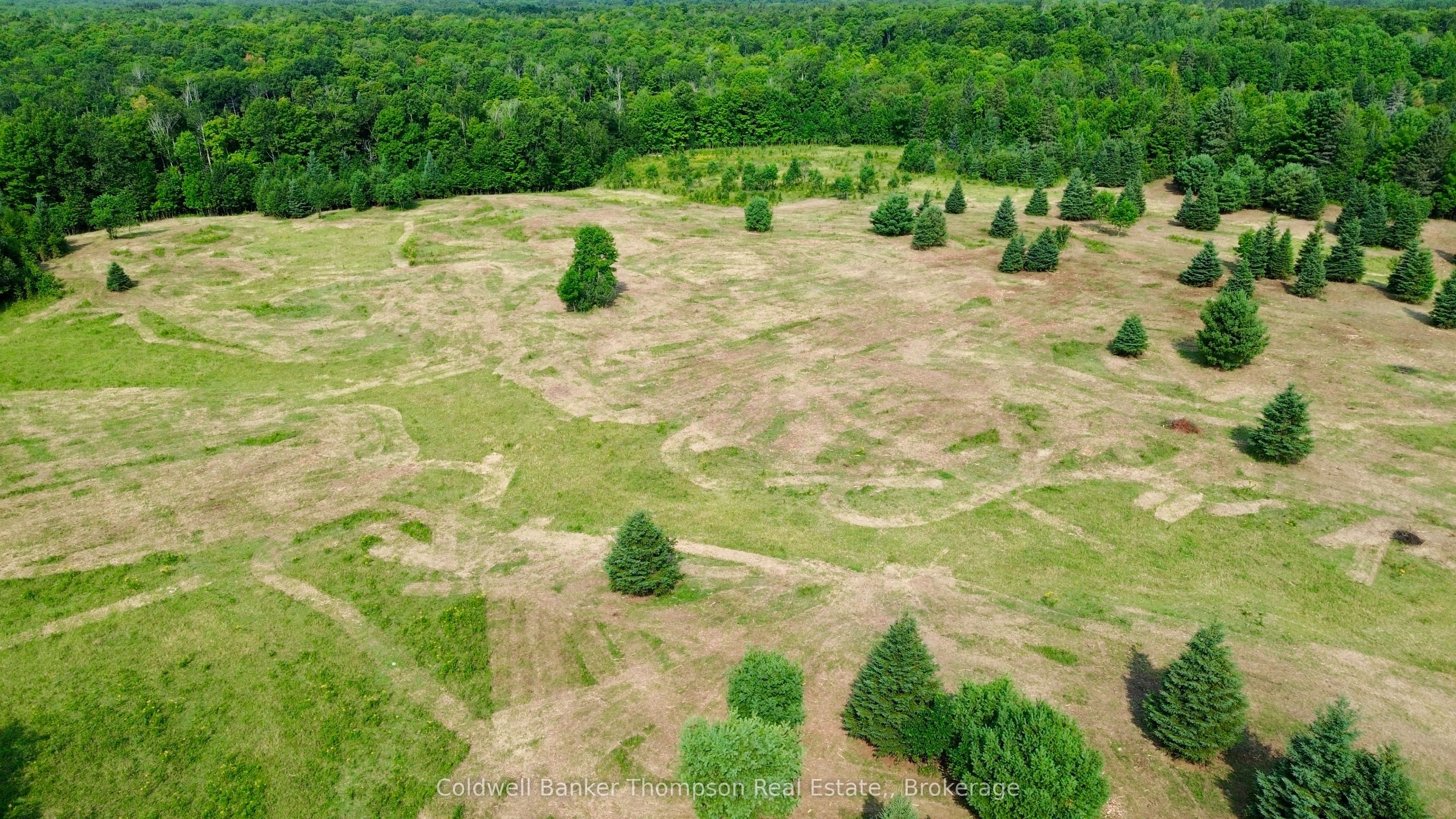 12899 522 Highway W Property Photo 8
